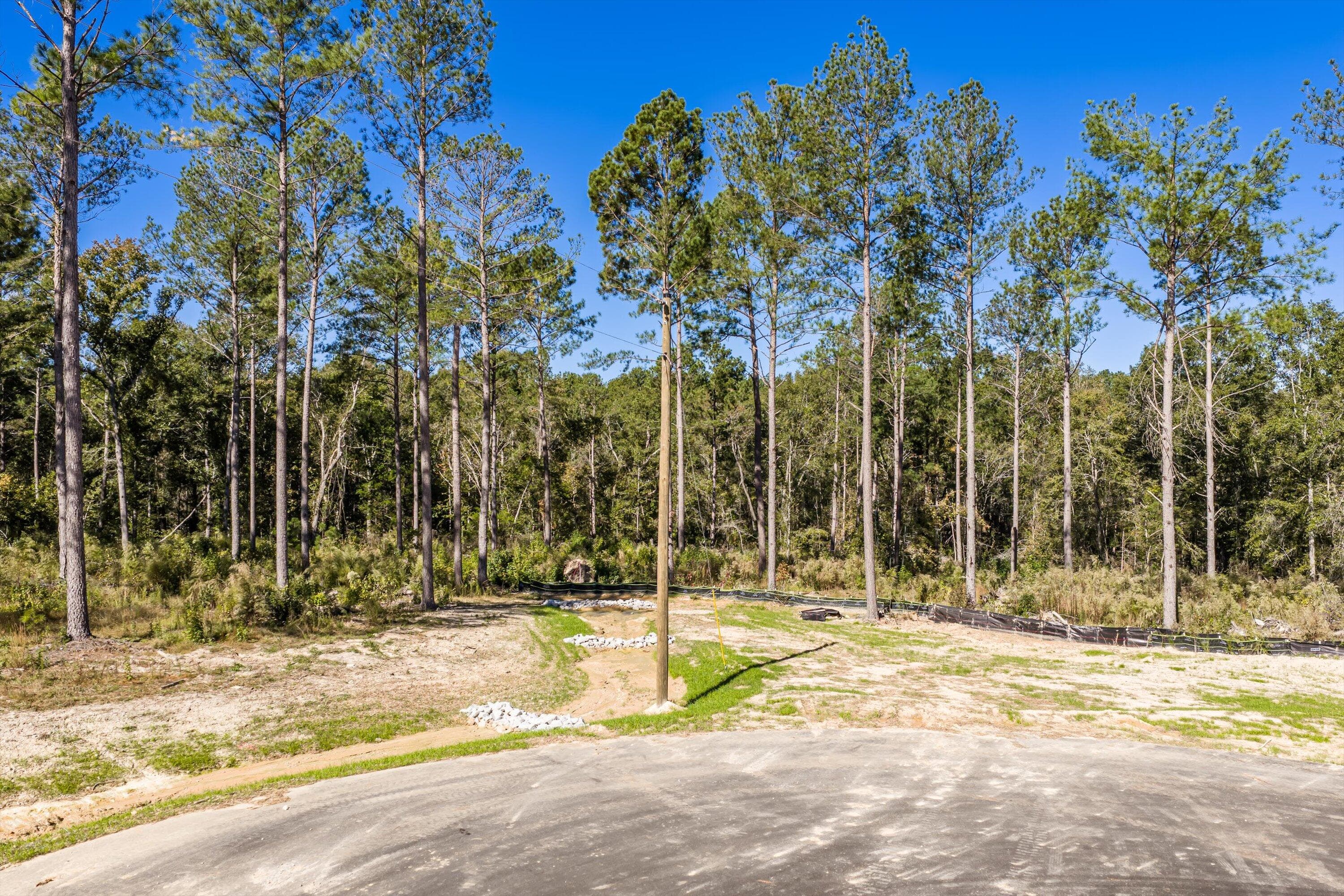 Residential Lot at 174 Beagle Chase Drive, Appling, GA 30802, photo 5 of 6