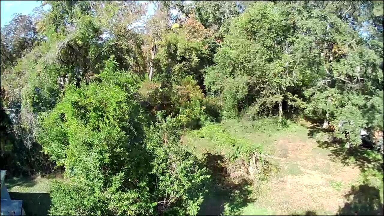Residential Lot at 543 Basin Street, Augusta, GA 30909, photo 8 of 8