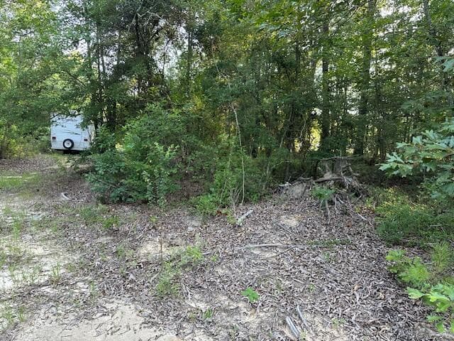 Undeveloped at 2576 Jessie James Pond Road, Wrens, GA 30833, photo 31 of 56