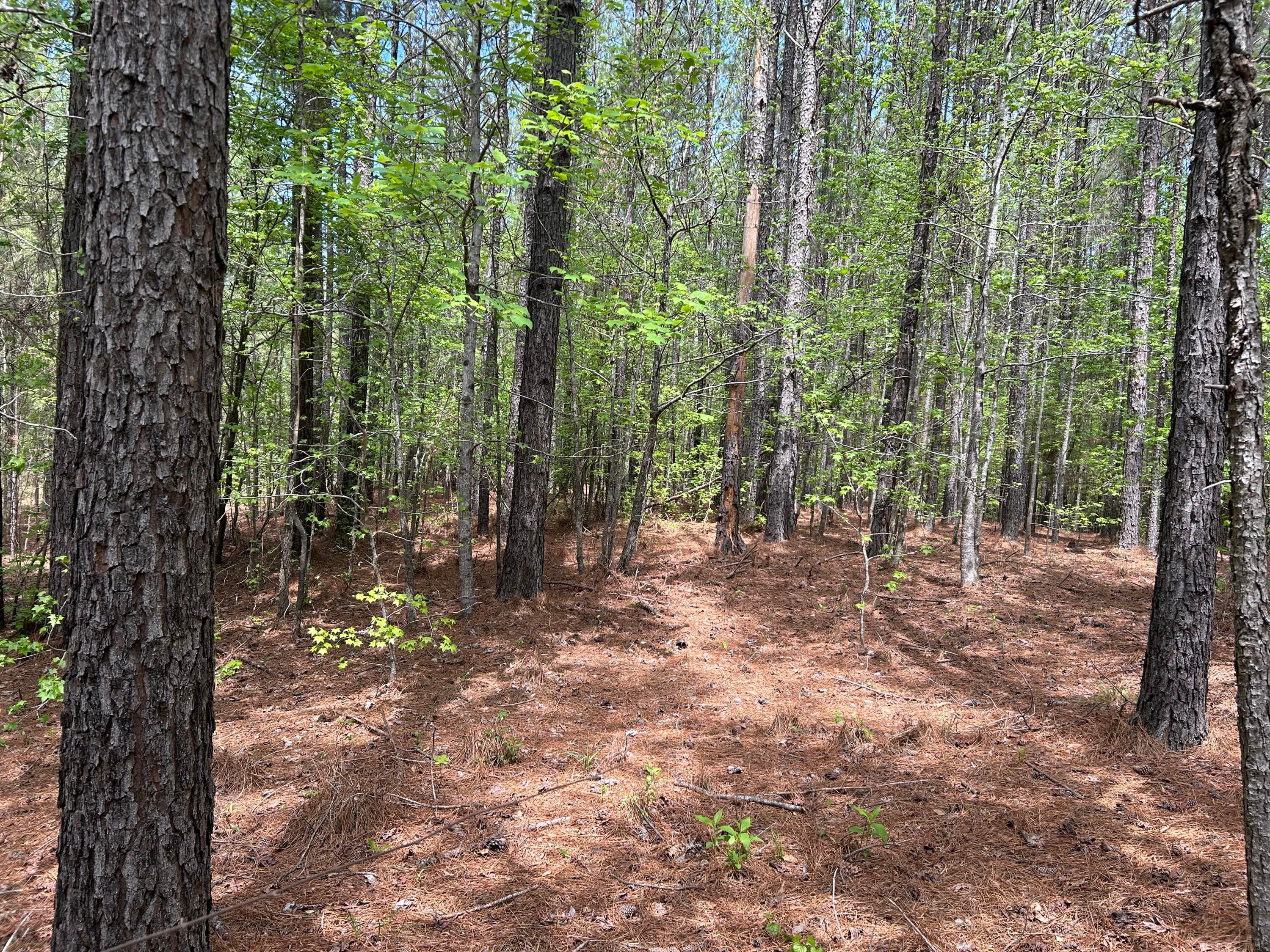 Residential Lot at 1147 &1153 130 Watersedge Cove, Tignall, GA 30668, photo 3 of 3