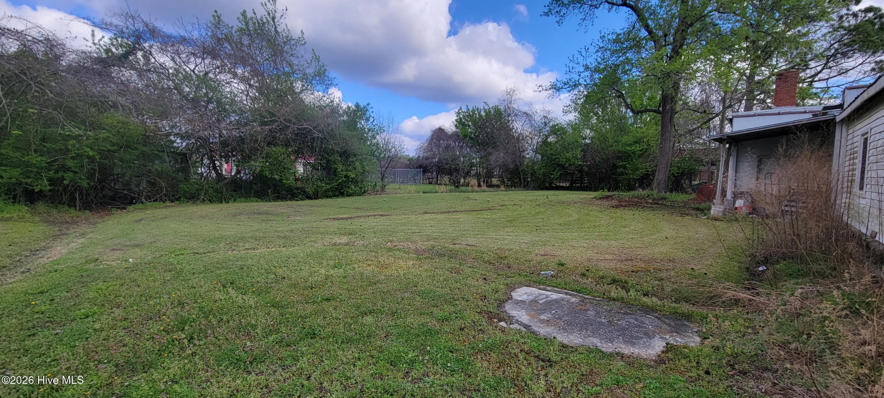 LEFT SIDE VIEW TO BACK OF LOTS - 3422 Us 17 Highway S, Chocowinity, NC 27817