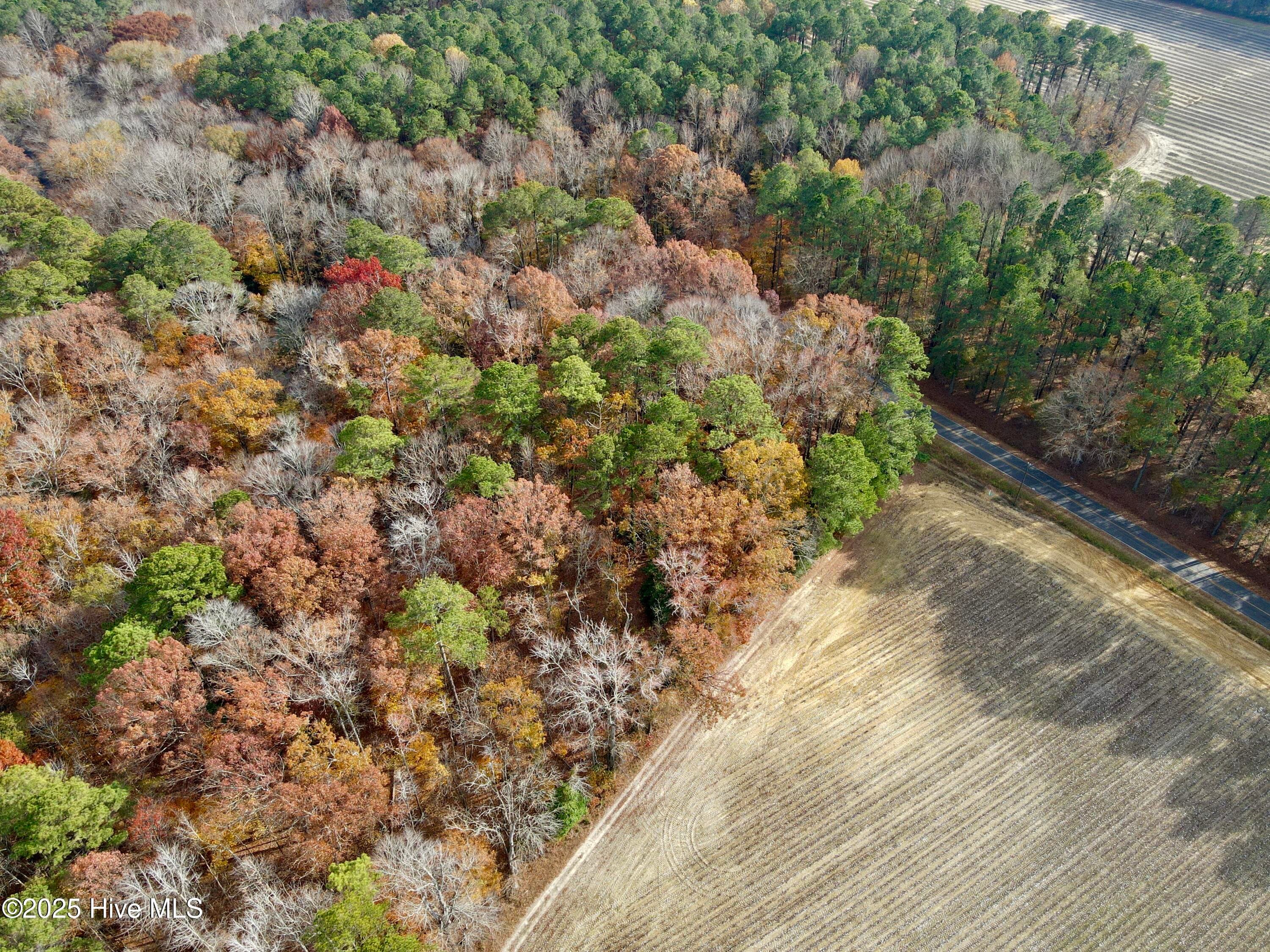 Wooded at 0 Williams Road, Williamston, NC 27892, photo 6 of 16