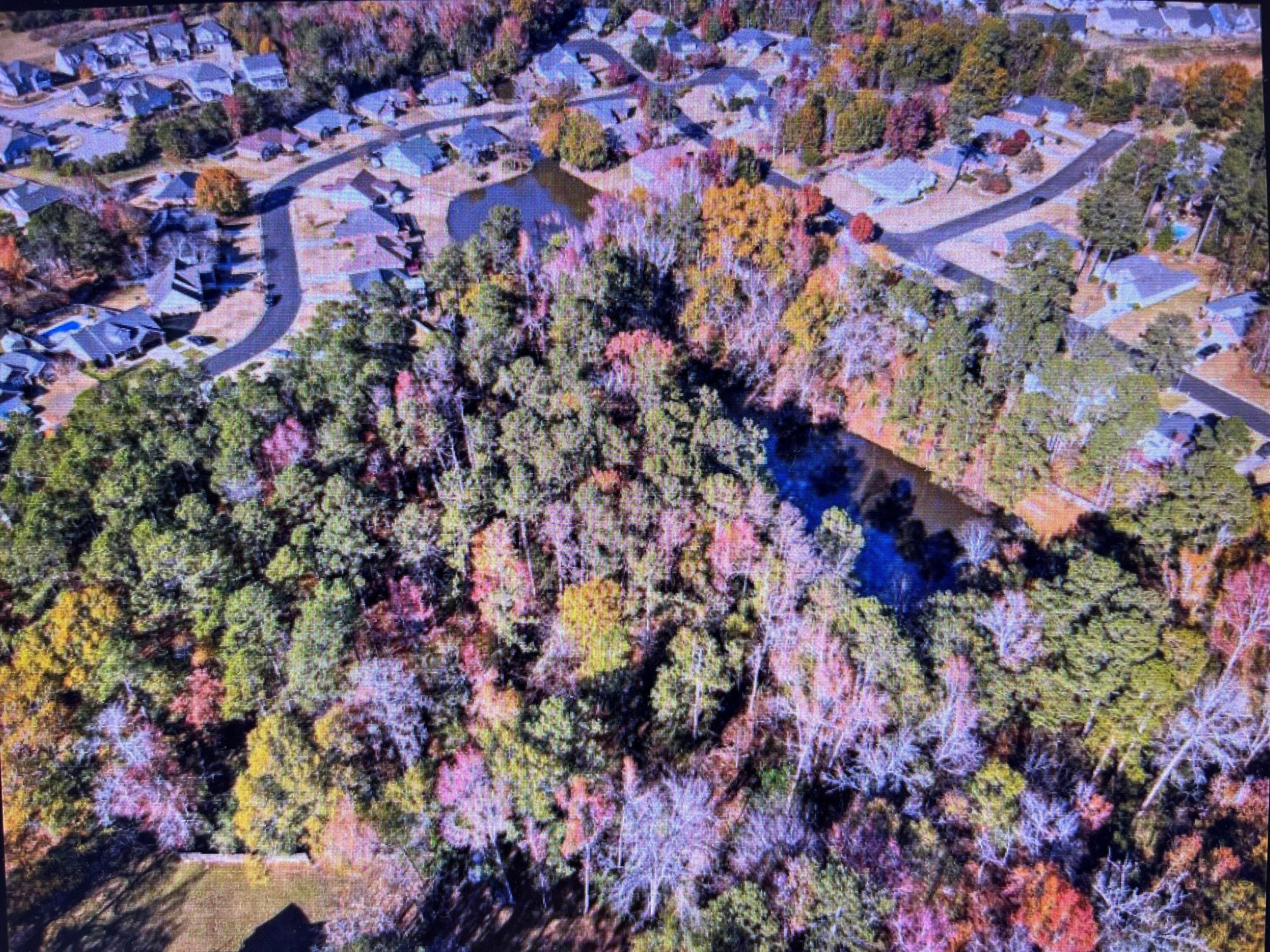 Undeveloped at 0 Osprey Lane, Martinez, GA 30907, photo 2 of 5