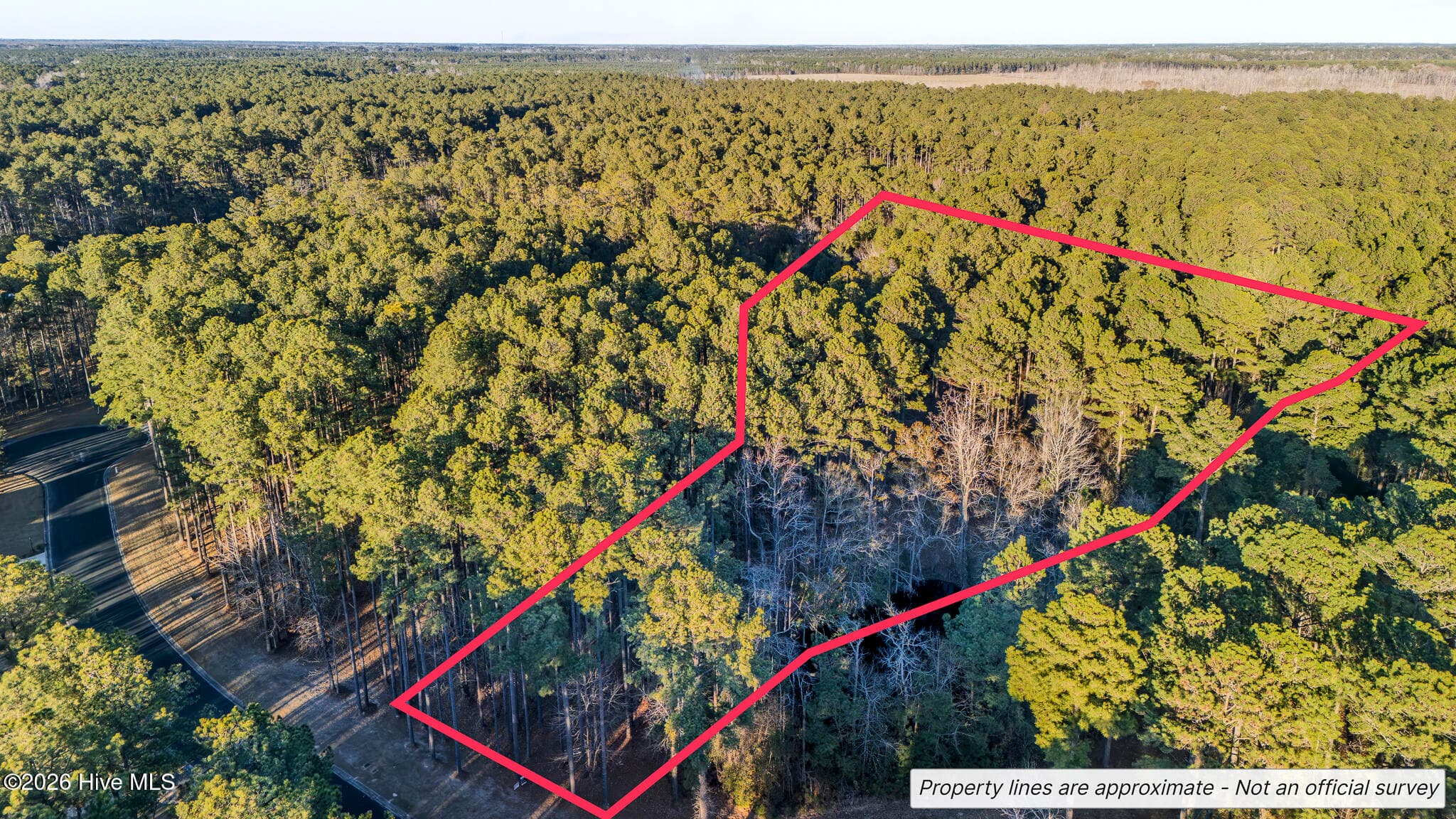 Wooded at 88 22 Cape Hatteras Point, Oriental, NC 28571, photo 2 of 9