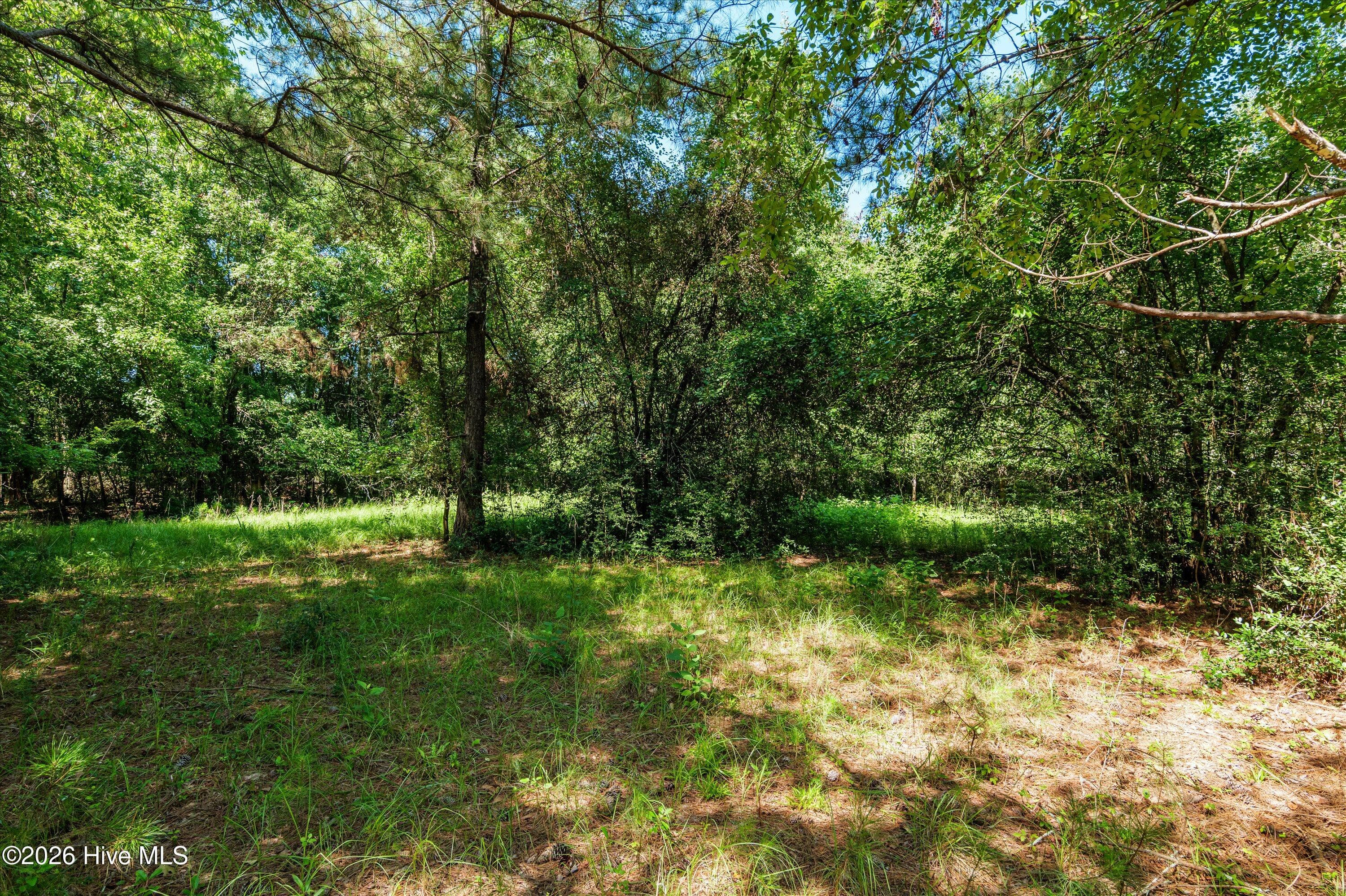Residential Lot at 1-B River Oak Drive, North Augusta, SC 29841, photo 3 of 3