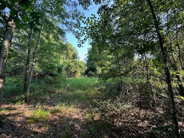 Undeveloped at 2576 Jessie James Pond Road, Wrens, GA 30833, photo 47 of 56