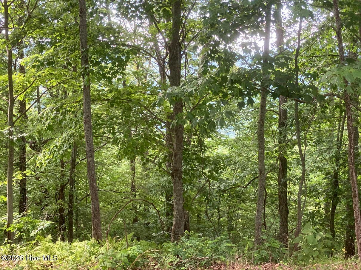 Residential Lot at Lot 51 51 Buck Ridge Drive, Murphy, NC 28906, photo 10 of 10