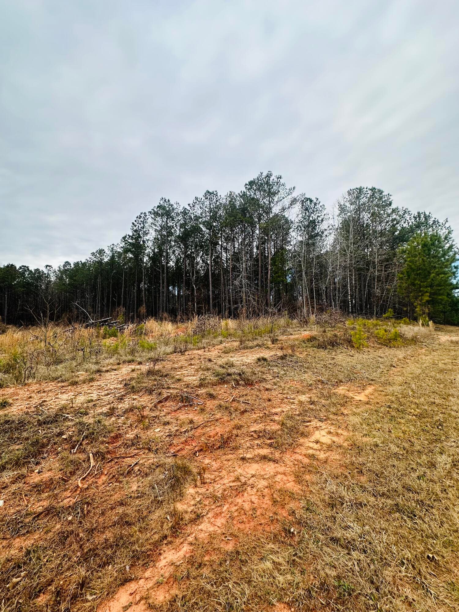 Residential Lot at LOT 14 Wisteria Drive, Lincolnton, GA 30817, photo 3 of 4
