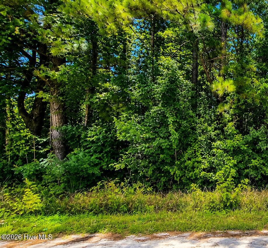 Undeveloped at 00 Bermuda Bay Lane, Tabor City, NC 28463, photo 12 of 12