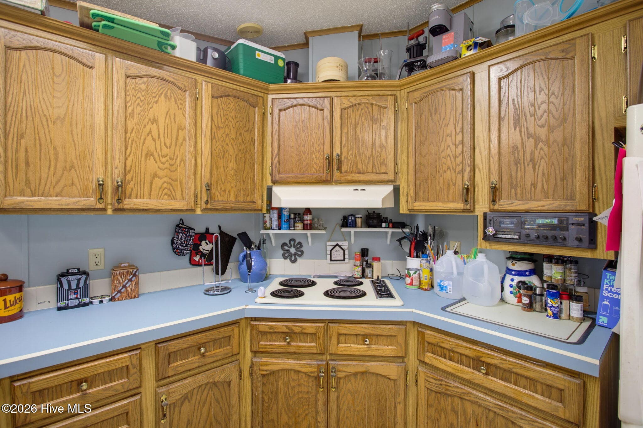 Manufactured Home at 160 Champion Drive, Hampstead, NC 28443, photo 14 of 33