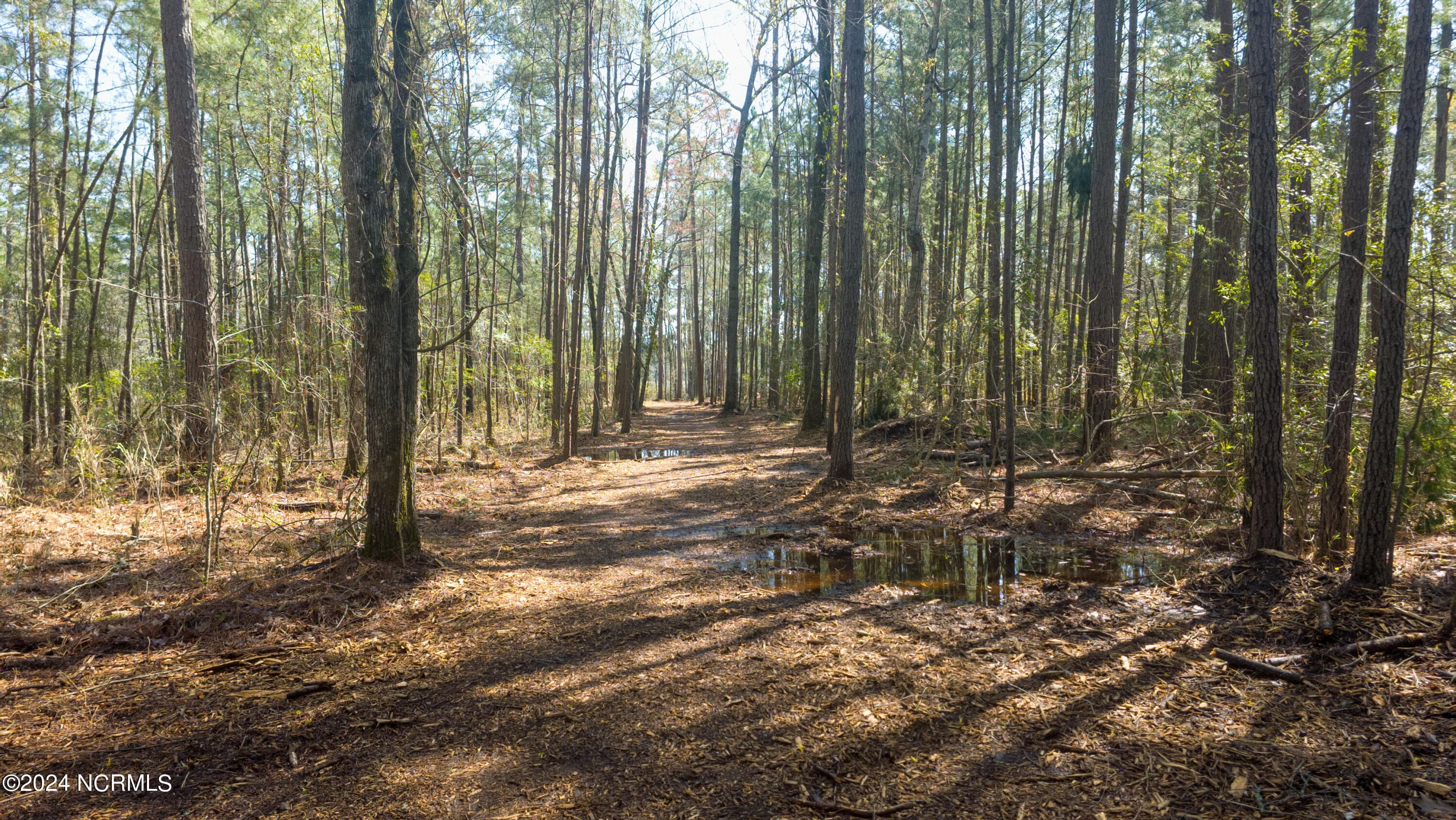 Residential Land at 15 Alexander Drive, Belhaven, NC 27810, photo 8 of 15