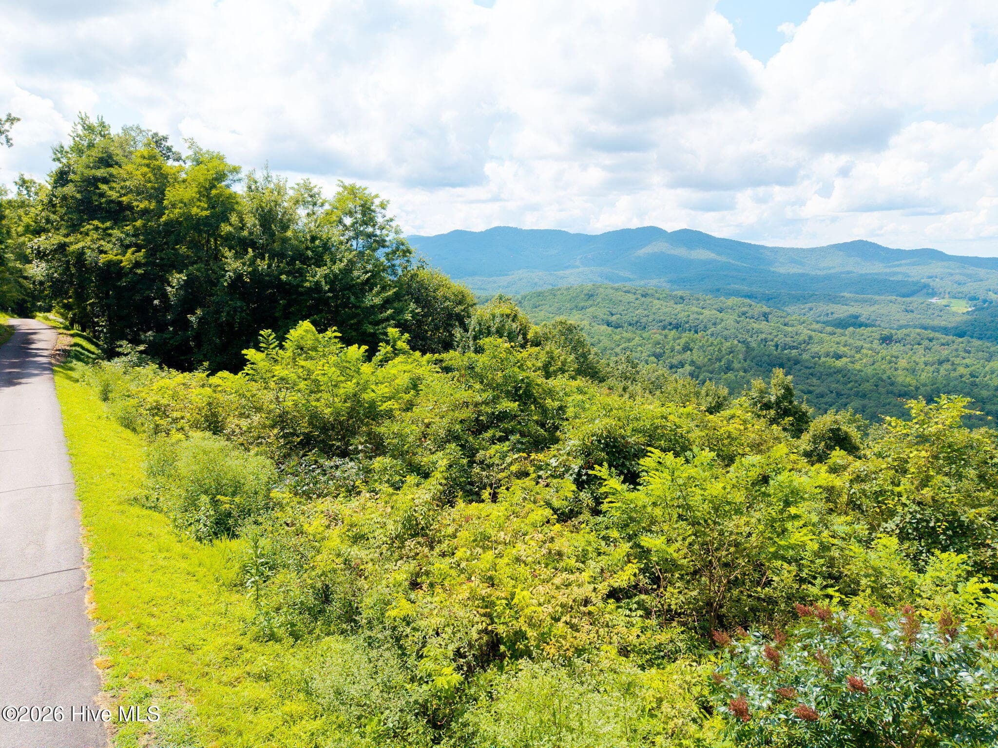 Undeveloped at 55 Buck Ridge Drive, Murphy, NC 28906, photo 4 of 15
