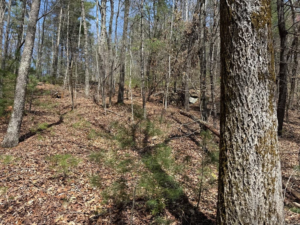 Undeveloped at 0 Morrow Road, Murphy, NC 28906, photo 2 of 5