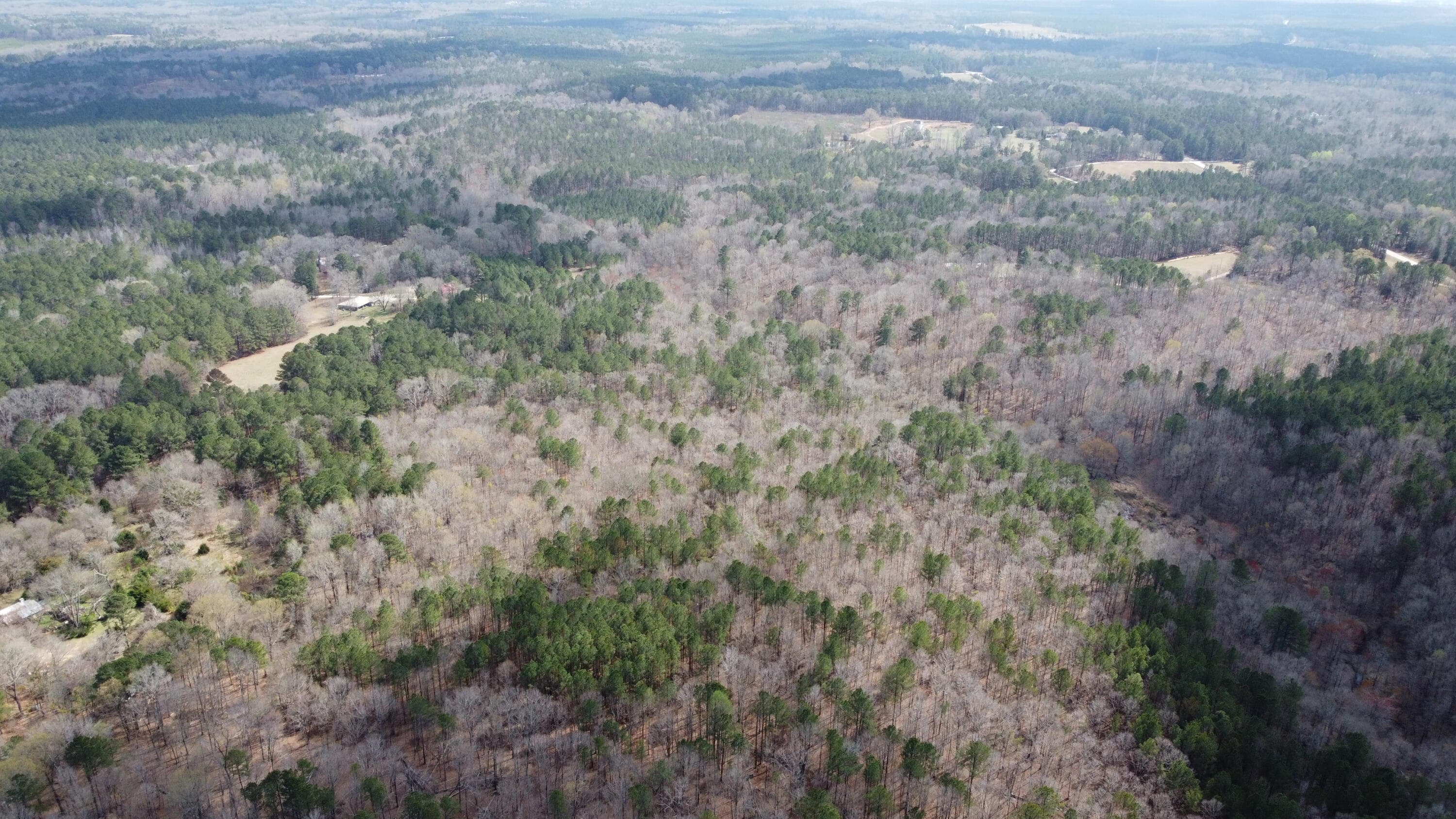 Undeveloped at 27.2 Ac John Lewis Drive, Lincolnton, GA 30817, photo 10 of 12