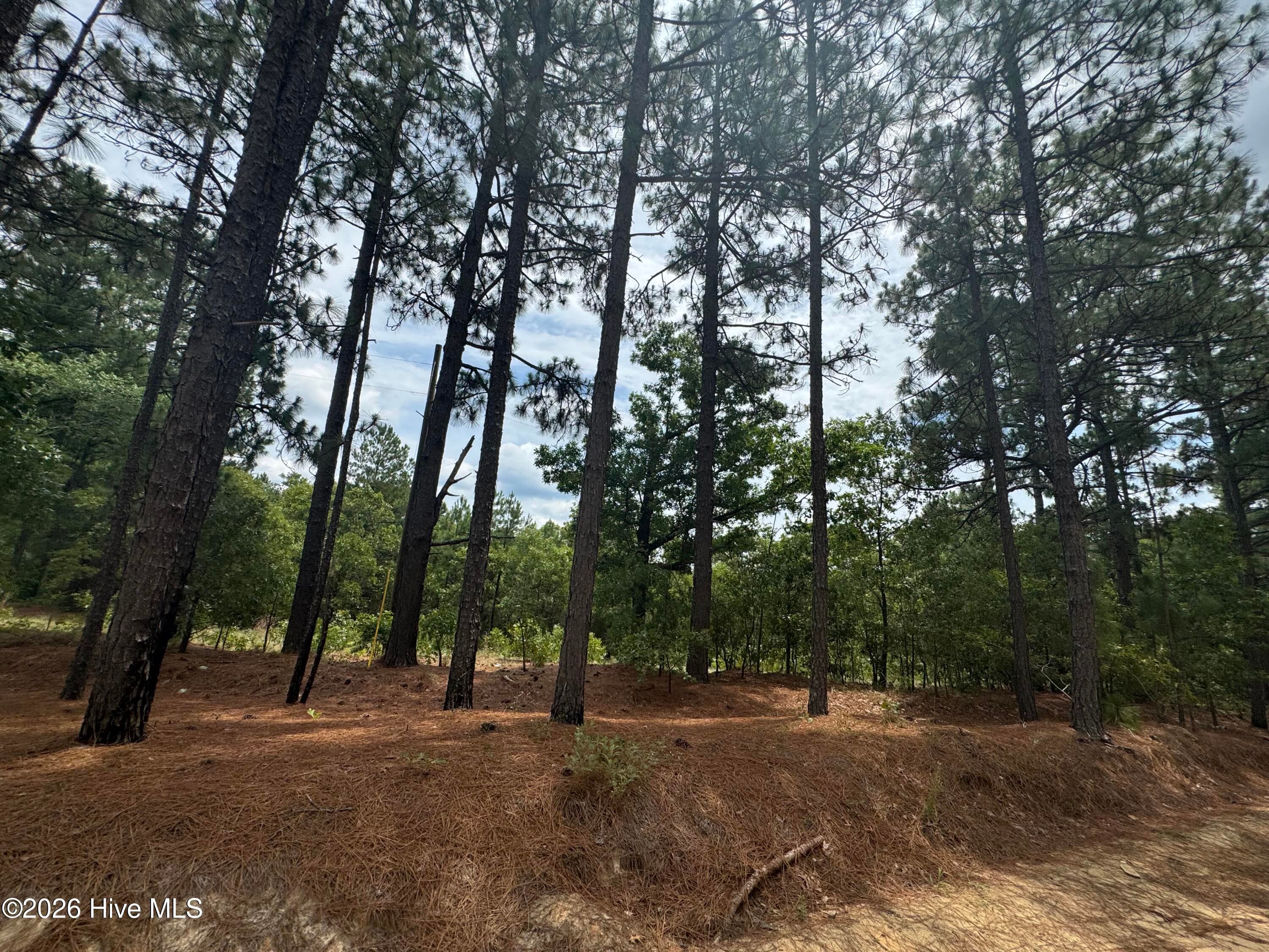 Undeveloped at 000 Lizzie Jeter Lane, Cameron, NC 28326, photo 7 of 8