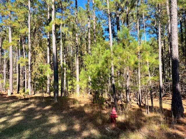 Residential Lot at 0 Mariners Way, Lincolnton, GA 30817, photo 2 of 4
