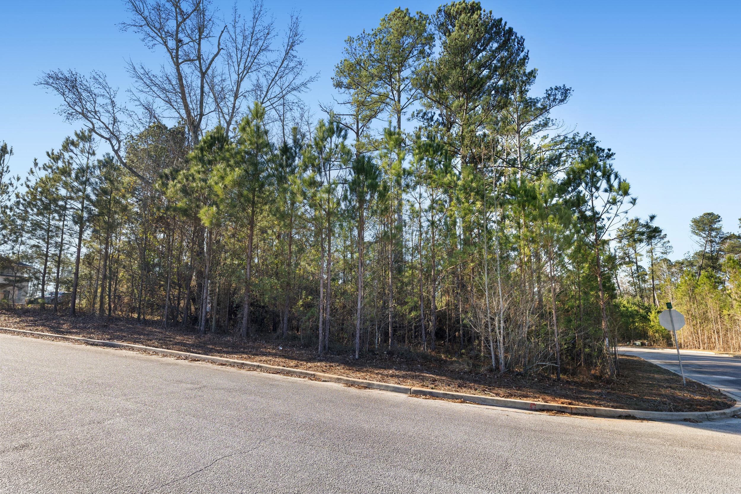 Unimproved Land at 801 Swindell Court, Evans, GA 30809, photo 3 of 10