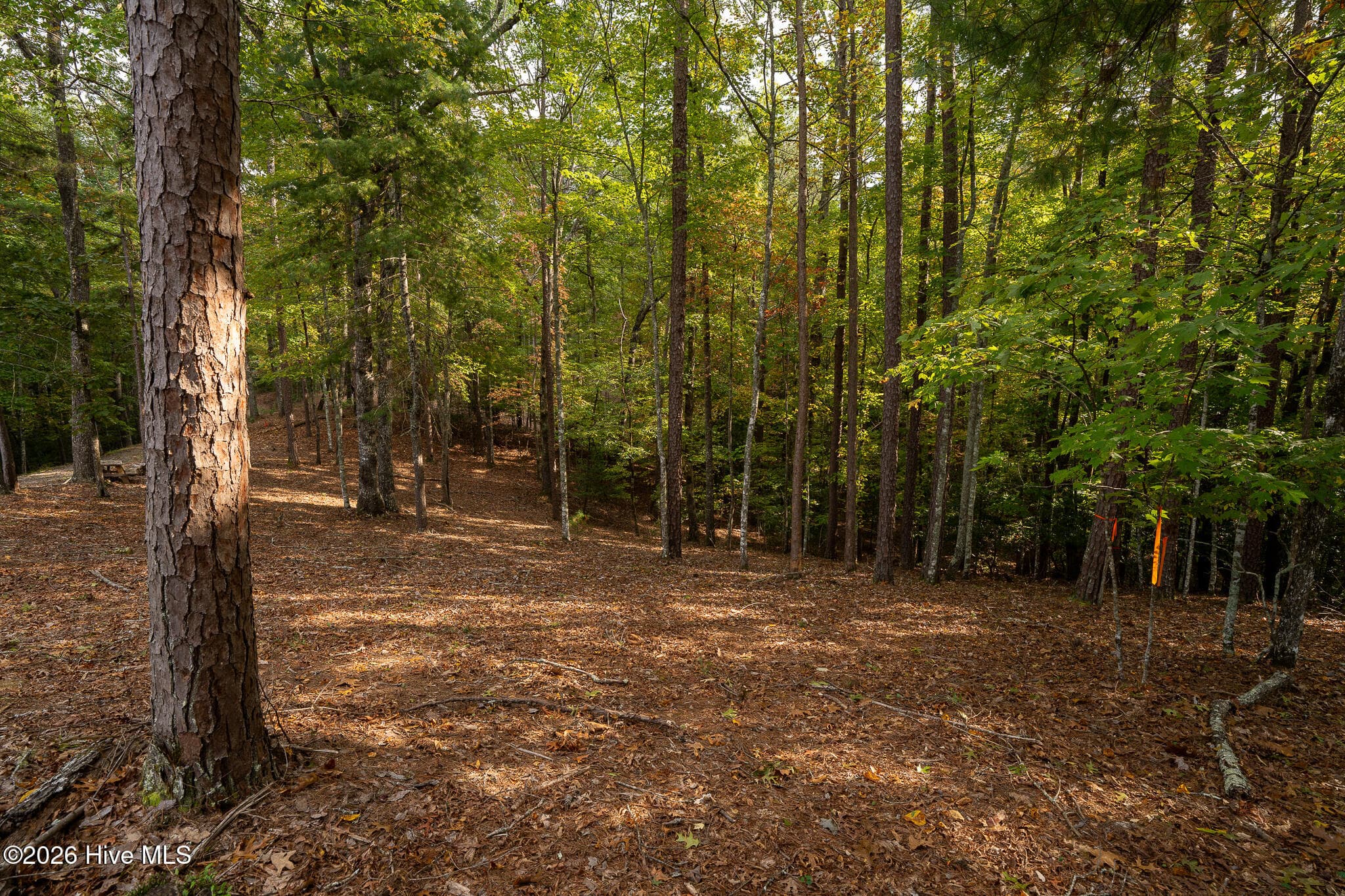 Wooded at Lot 22 Morris Ridge Drive, Murphy, NC 28906, photo 20 of 23