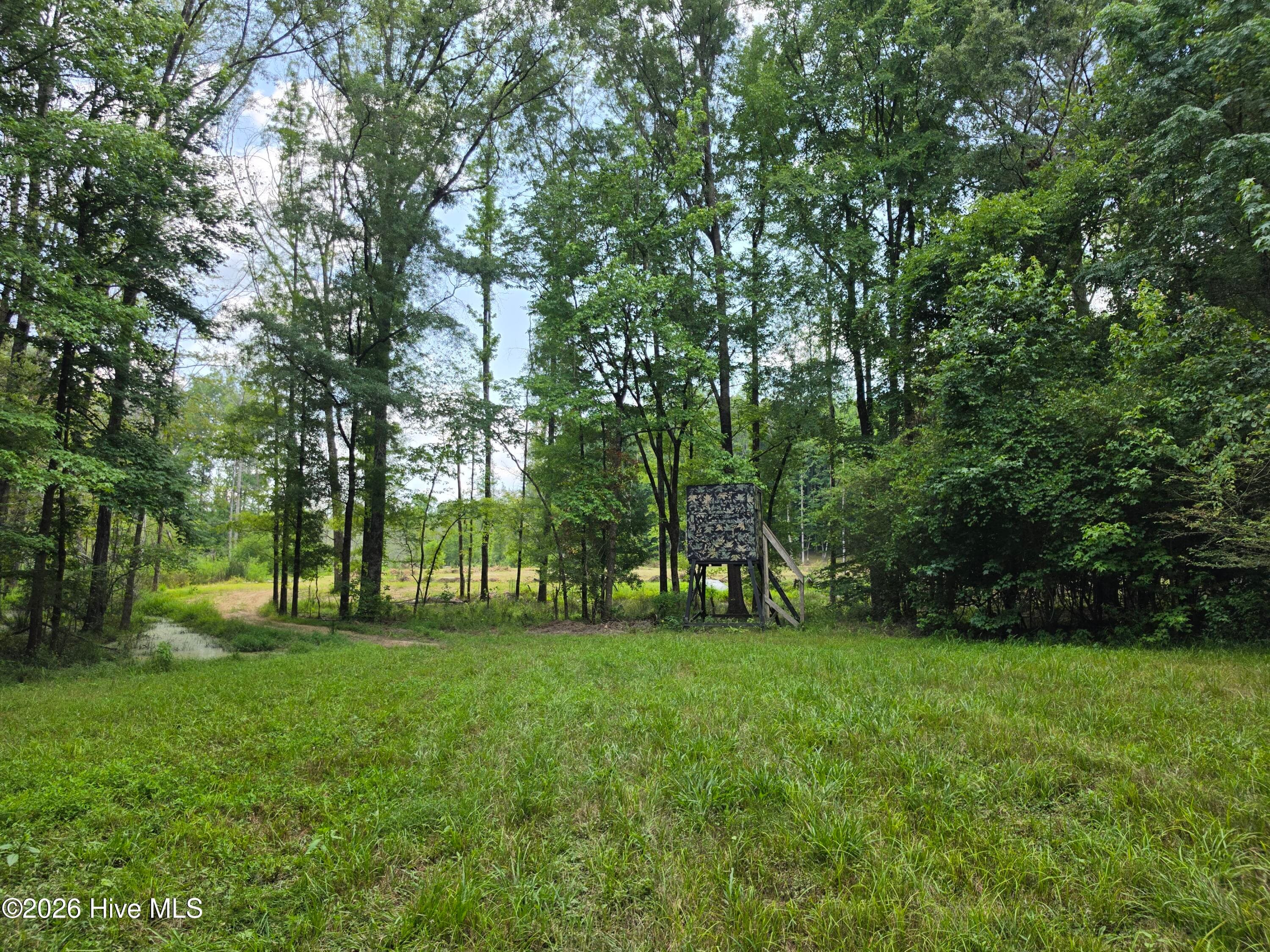 Mixed Use at 000 Court Ground Road, Washington, GA 30673, photo 23 of 52