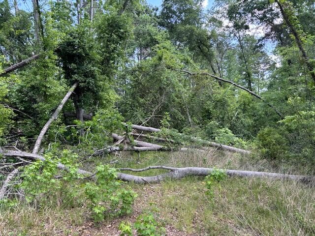 Residential Lot at 2064 Glenn, Grovetown, GA 30813, photo 8 of 12