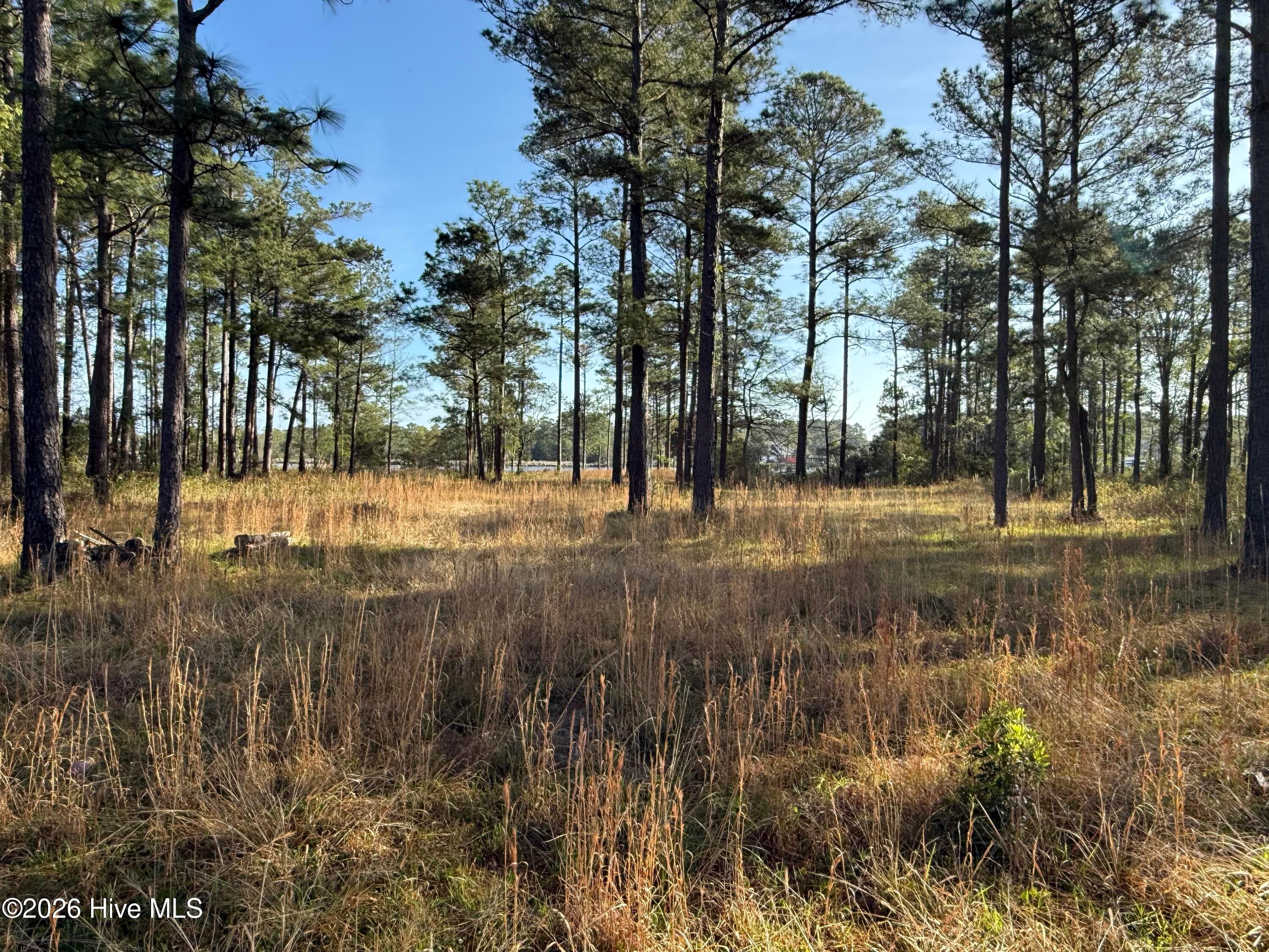 Residential Lot at 269 23 Shell Castle Lane, Vandemere, NC 28587, photo 22 of 43