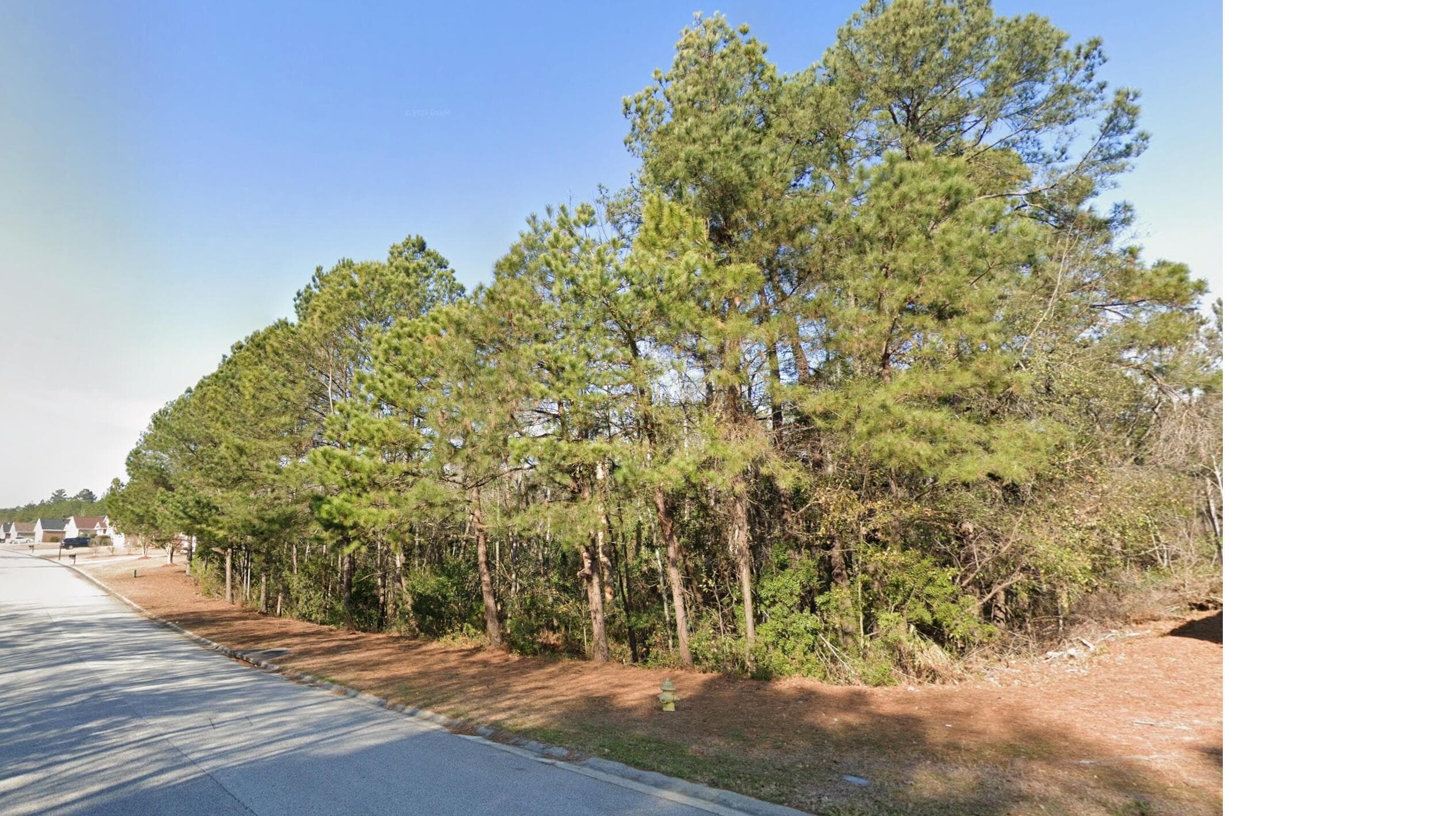 Undeveloped at 4011 Madison Lane, Augusta, GA 30909, photo 3 of 4