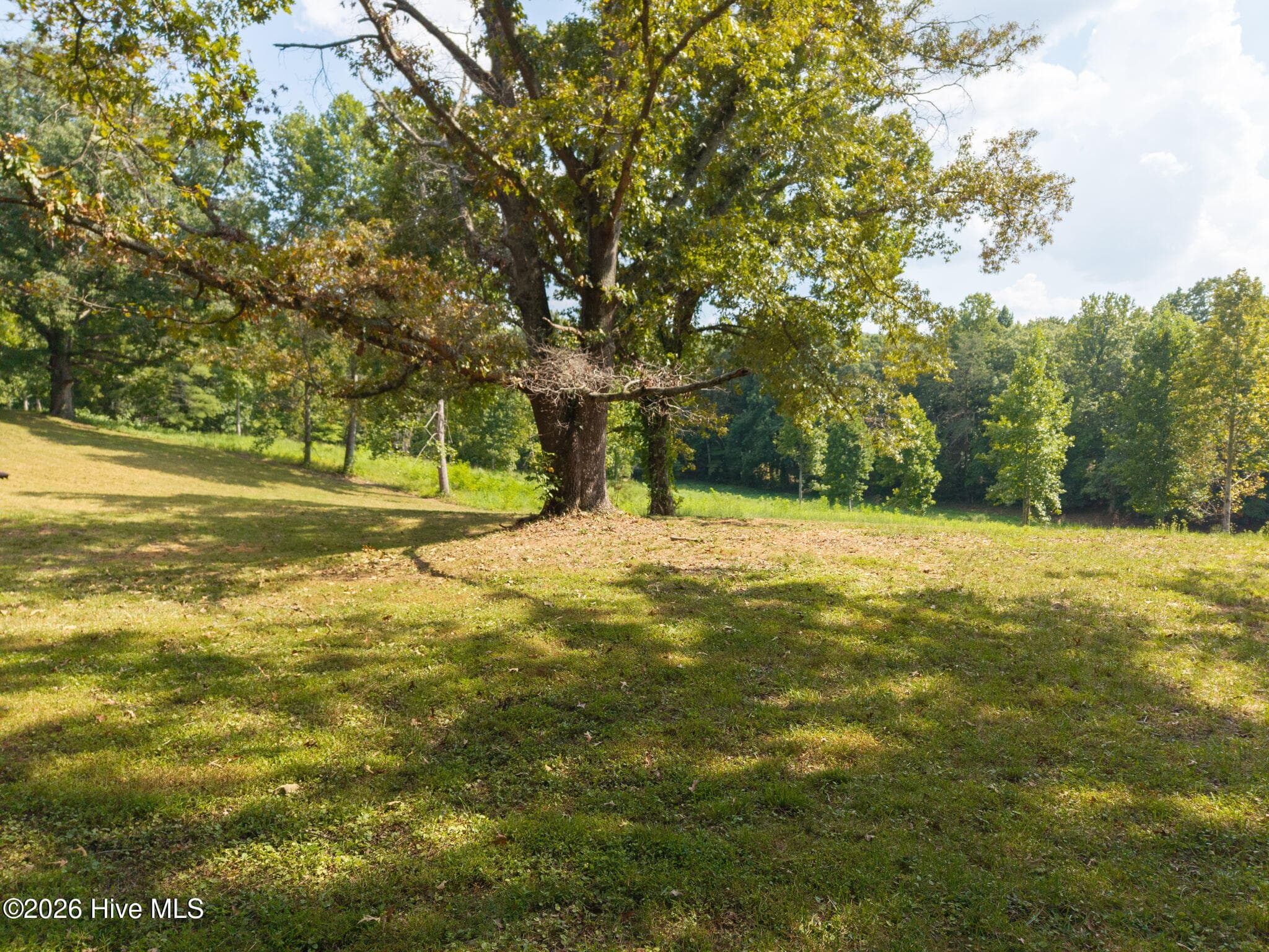 Undeveloped at 314 Lakeside Drive, Hiawassee, GA 30546, photo 8 of 9