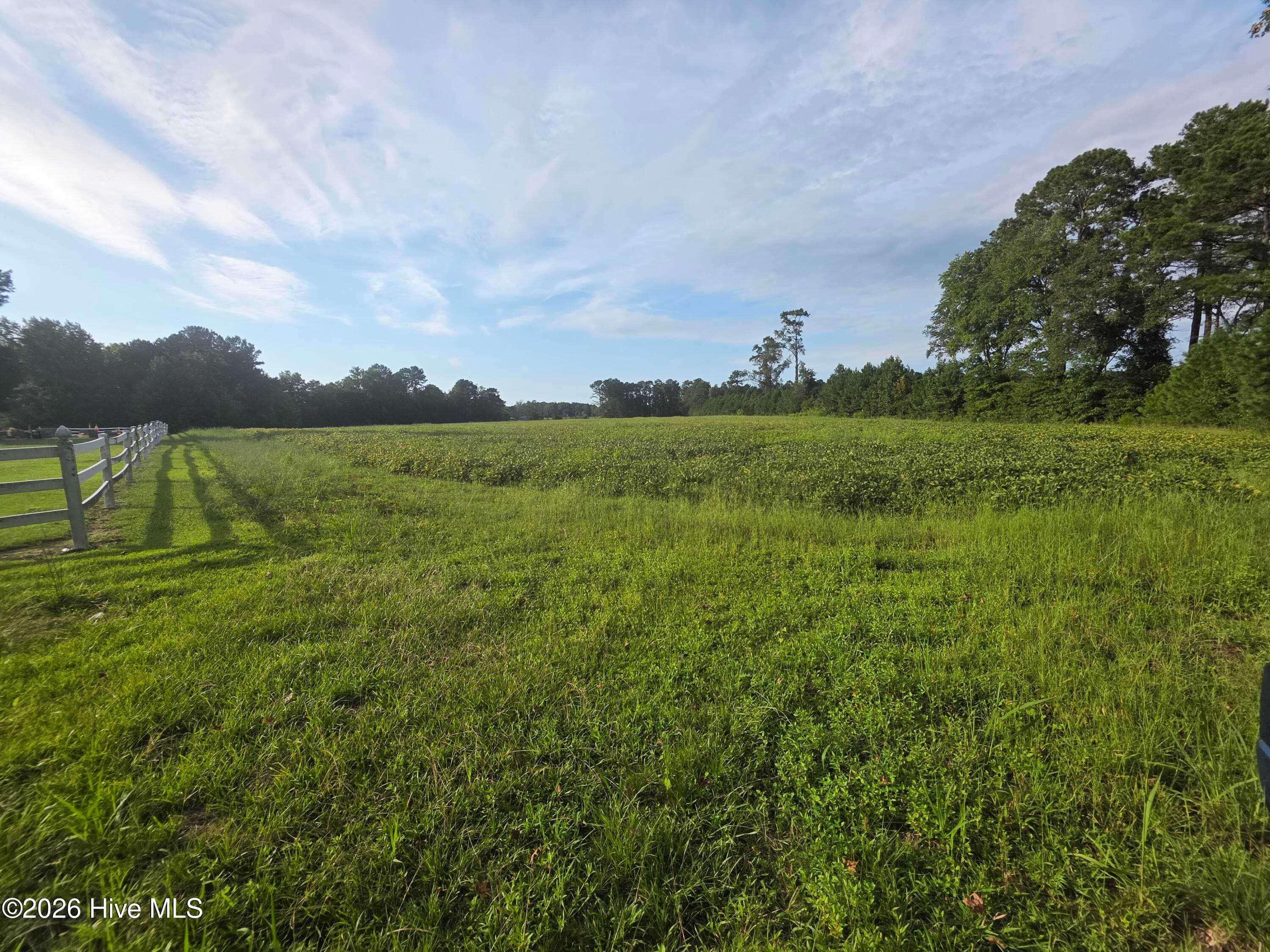 Agriculture at 927 Clarendon Chadbourn Road, Chadbourn, NC 28431, photo 2 of 4