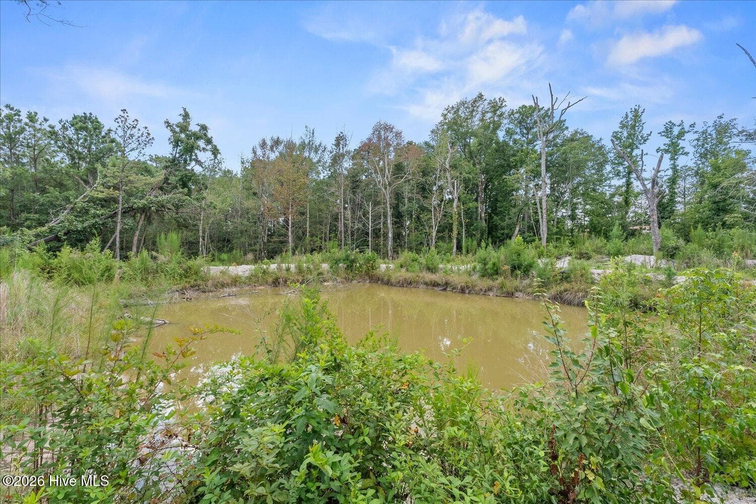 Mixed Use at 92 Sandrock Road, McCormick, SC 29835, McCormick, photo 16 of 22
