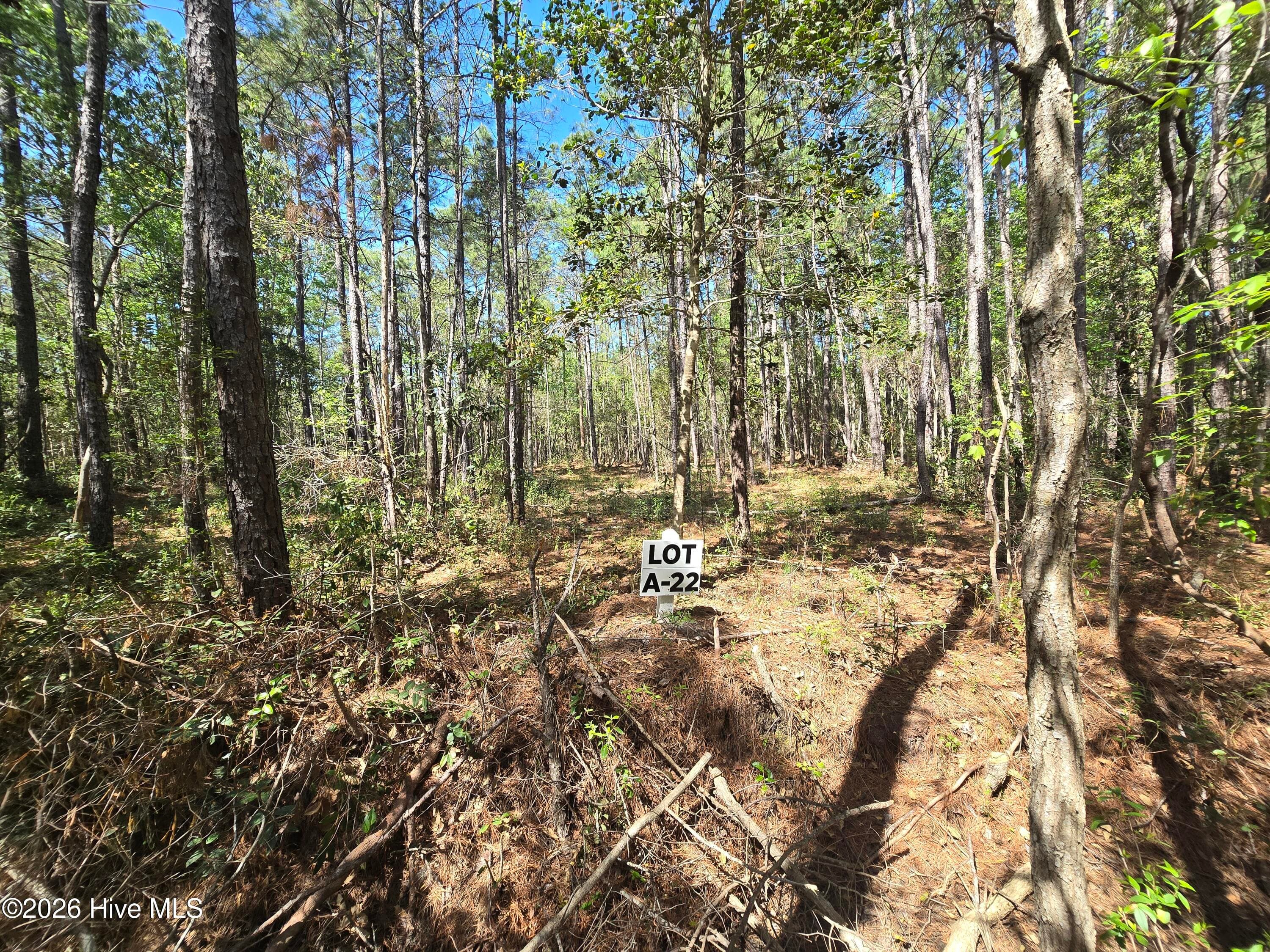 Residential Lot at Lot A-22 A-22 Renee Drive, Hampstead, NC 28443, photo 2 of 6