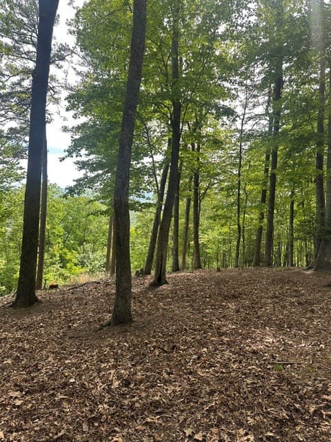 Land at Lot 4 Hampton Knob, Murphy, NC 28906, photo 4 of 6