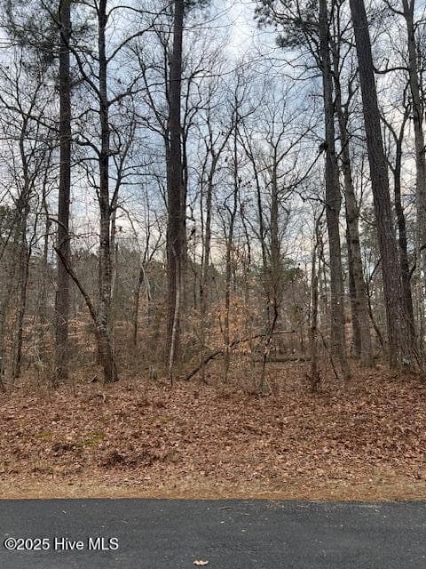 00 Dogwood Dr., Hertford, NC 27944