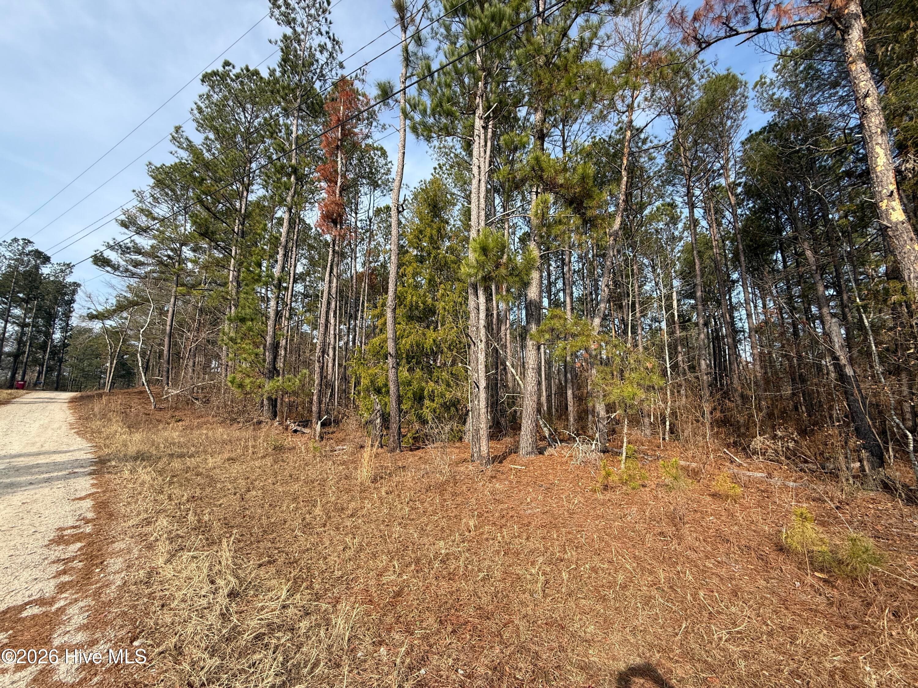 Residential Lot at 165 Wayne Lane, Hephzibah, GA 30815, photo 2 of 12
