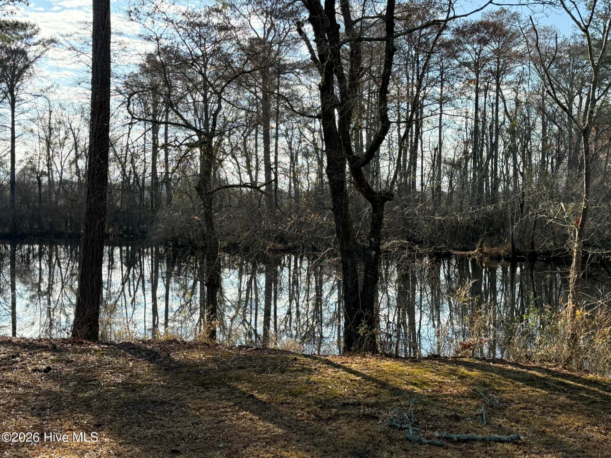 Residential Land at 103 Raccoon, Washington, NC 27889, photo 4 of 8