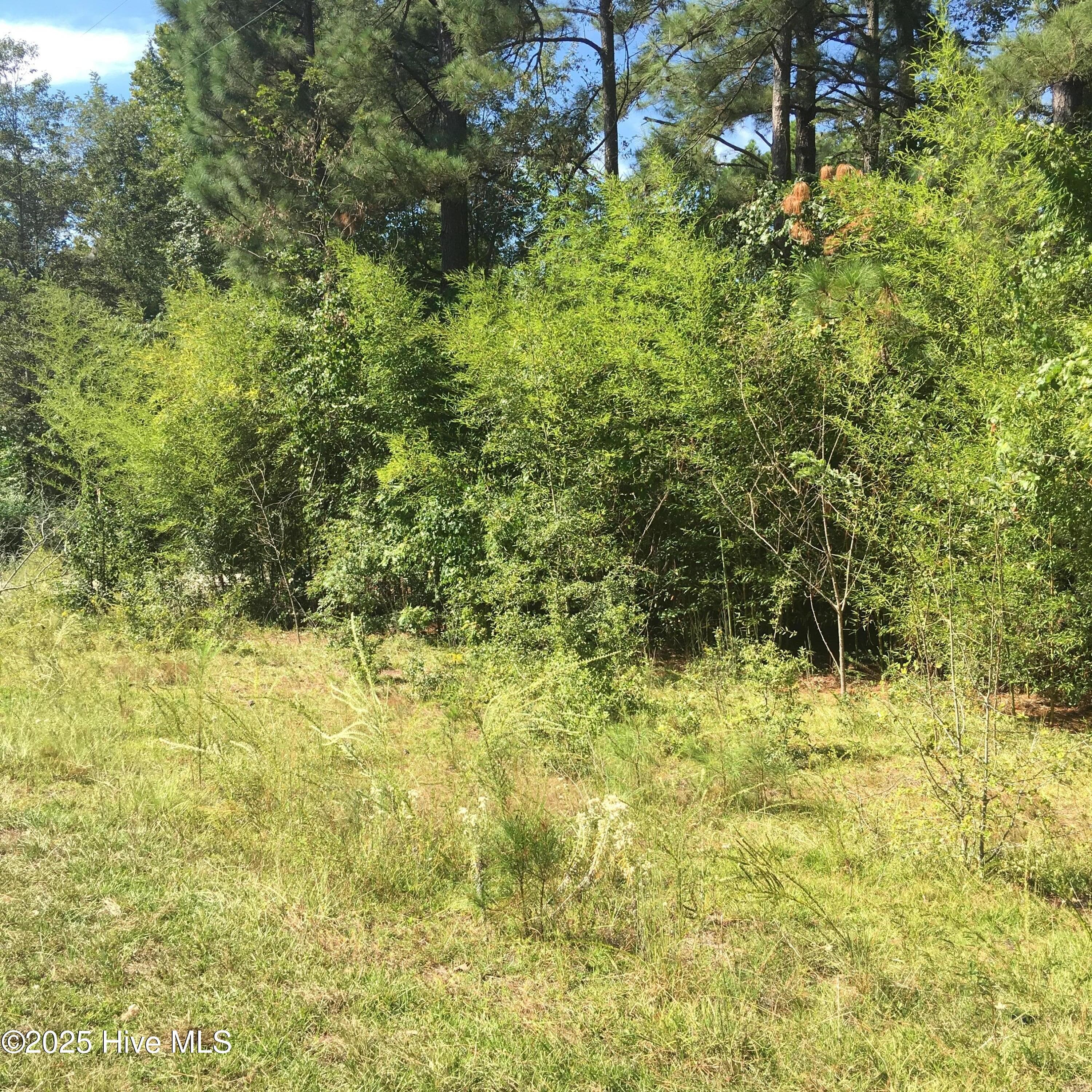 Tbd Plank Road, Robbins, NC 27325