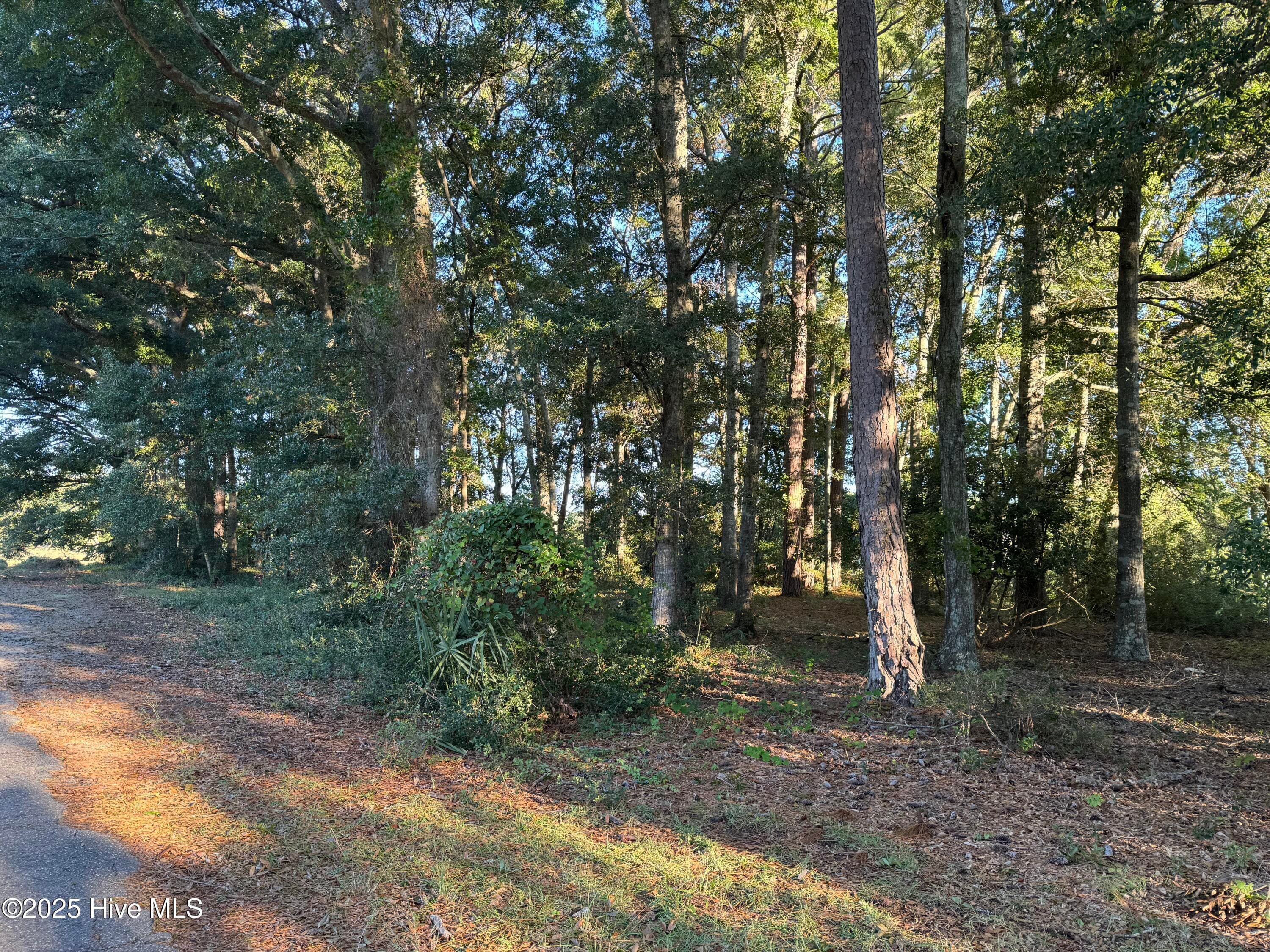 Residential Lot at 594 Medcalf Drive SW, Sunset Beach, NC 28468, photo 2 of 7