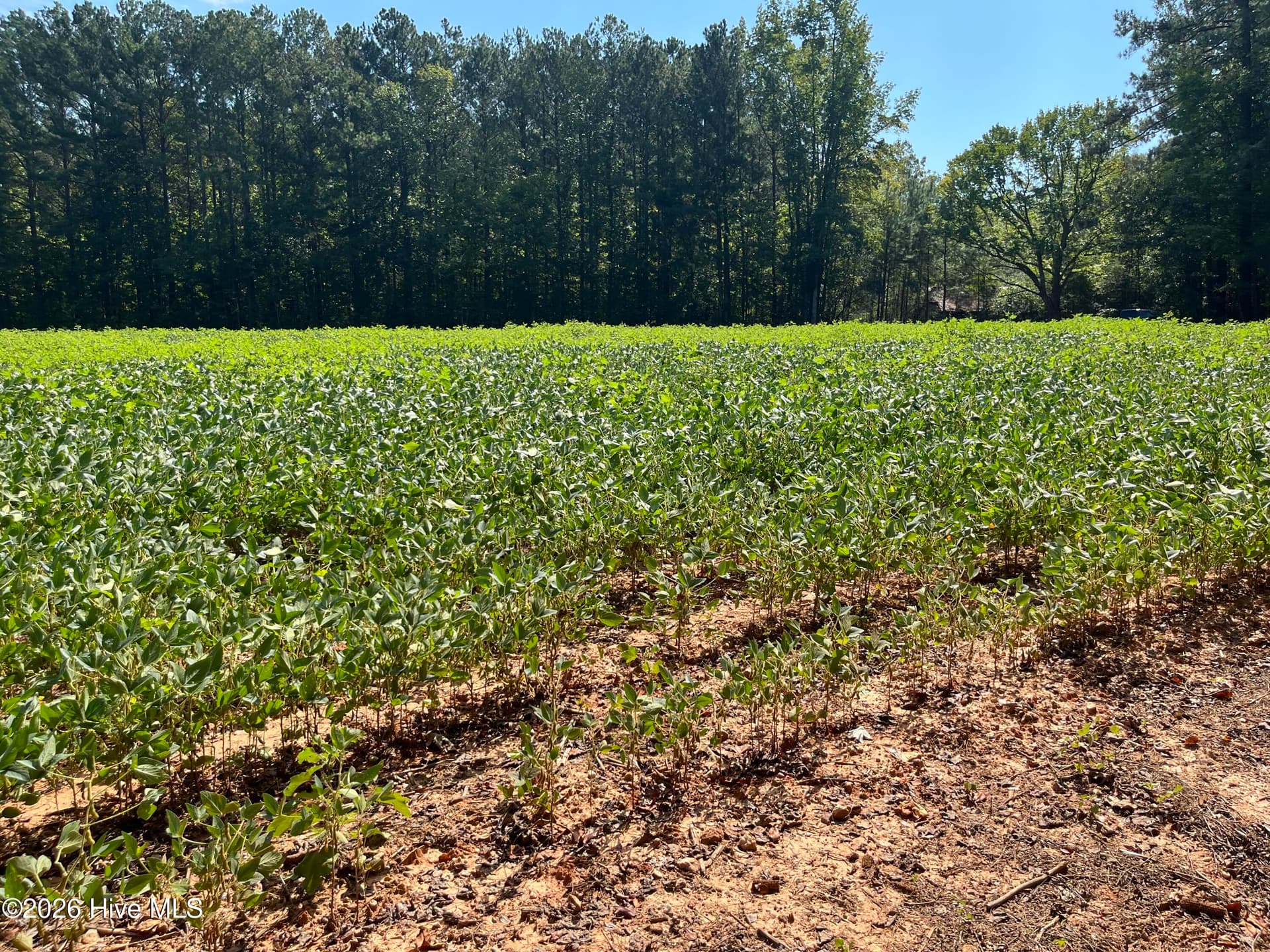 9011 Pleasant Grove Church Road, Spring Hope, NC 27882