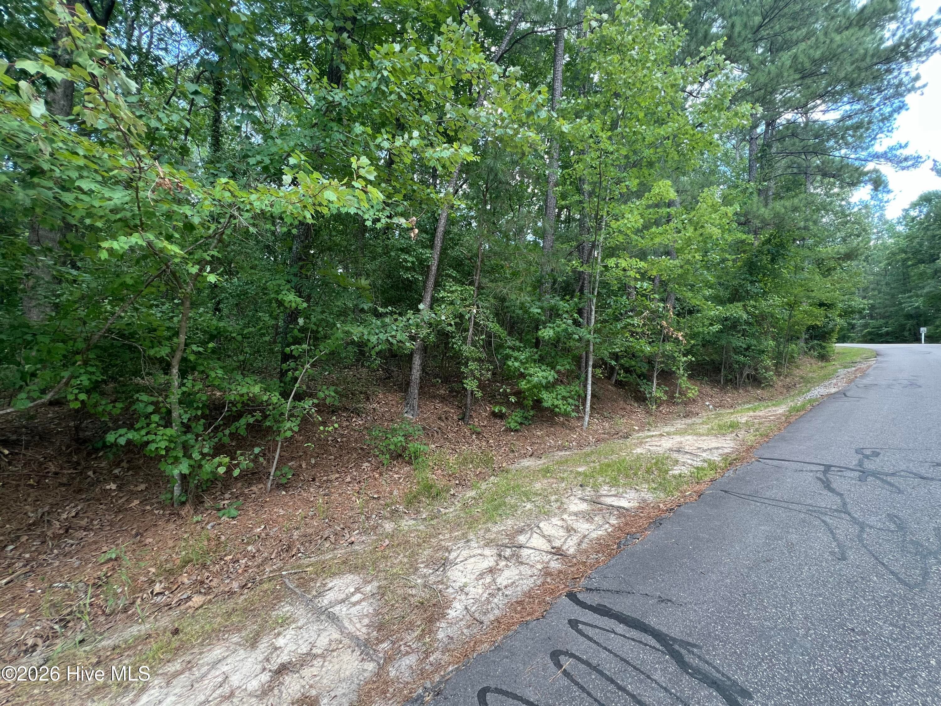 307 91 Thimbleberry Drive, Vass, NC 28394