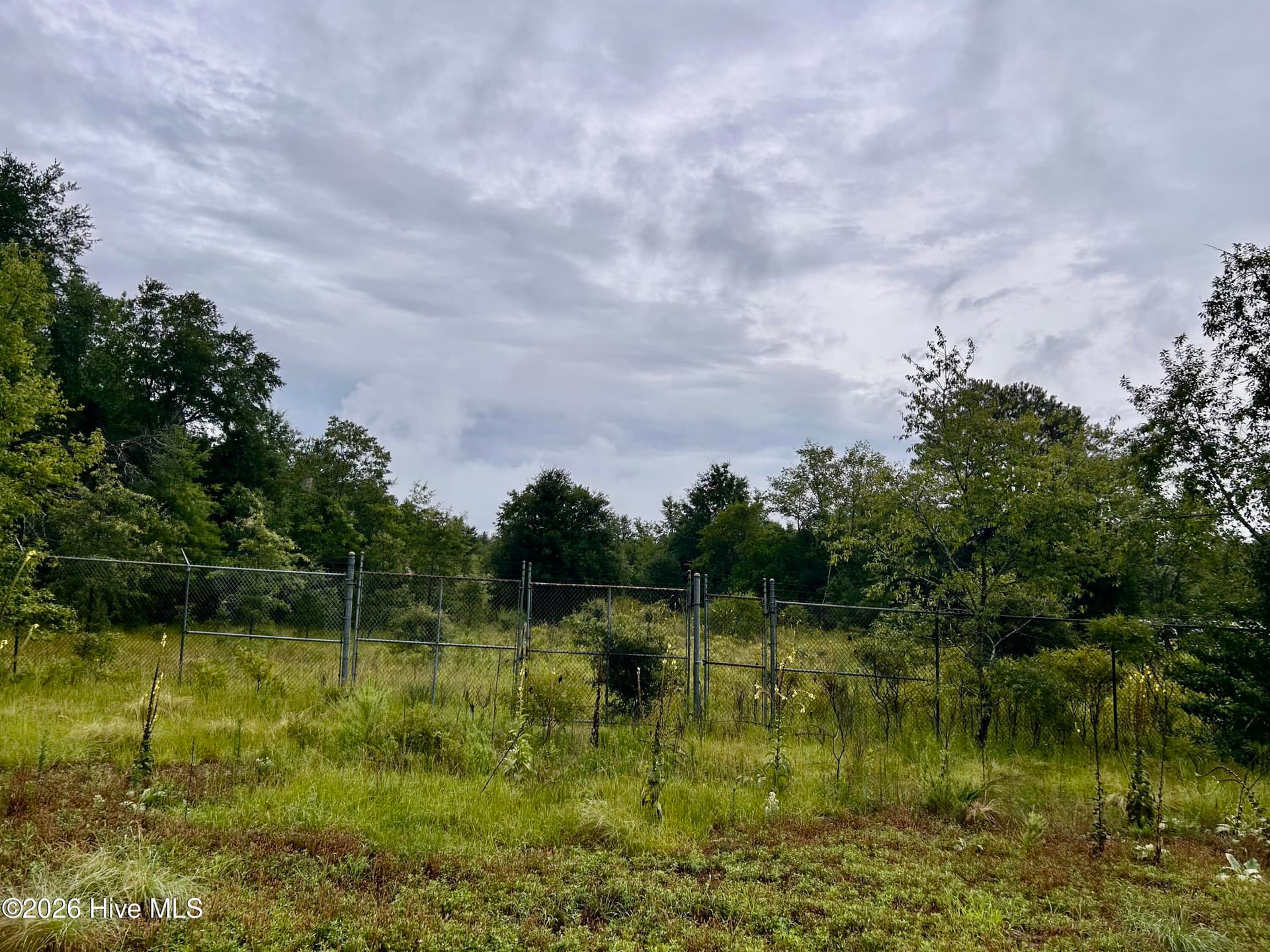 Commercial Sale at 0 Carolina 381, Hamlet, NC 28345