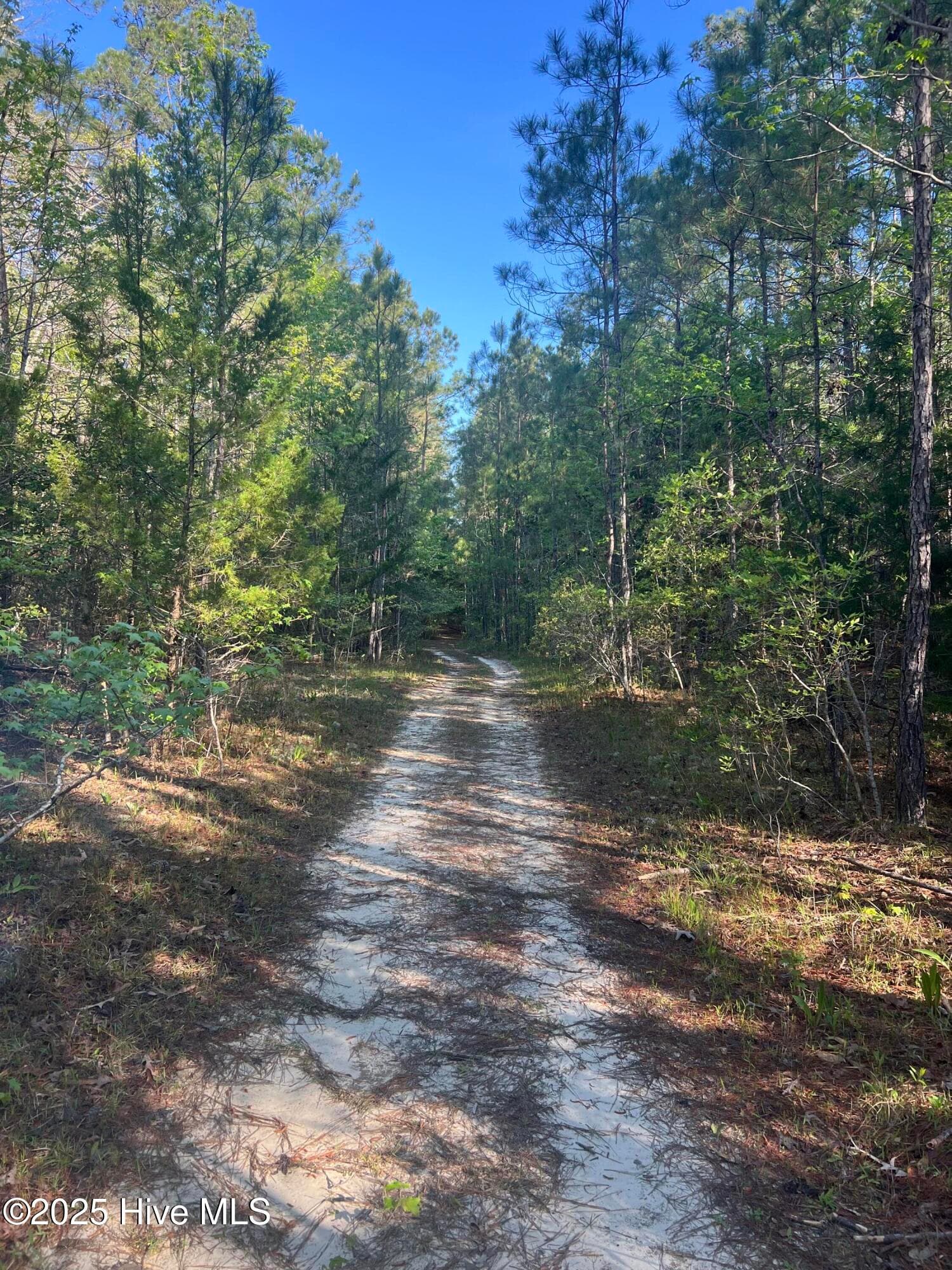 Residential Lot at Tbd Wood Creek Drive, Hubert, NC 28539, photo 6 of 8