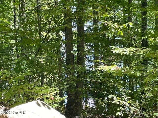 Residential Lot at 00 Rocky Branch Overlook, Topton, NC 28781, photo 5 of 7