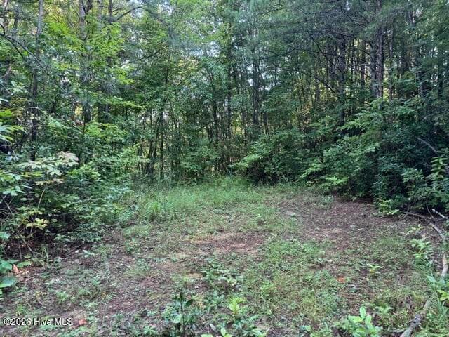 Residential Lot at 5 Tyler Lane, Marble, NC 28905, photo 9 of 28