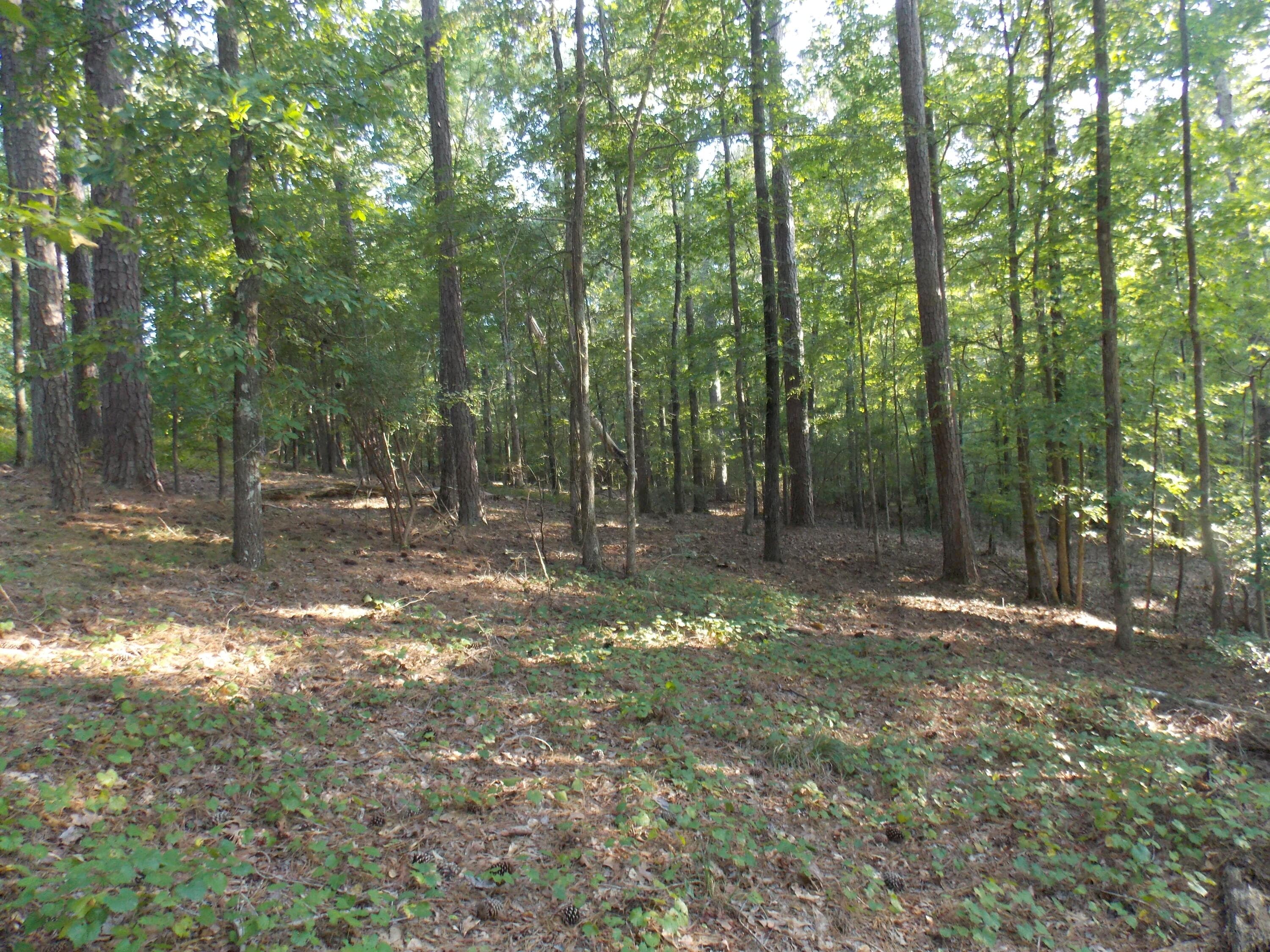 Residential Lot at 59 Westwind Harbour Rd, Lincolnton, GA 30817, photo 2 of 4
