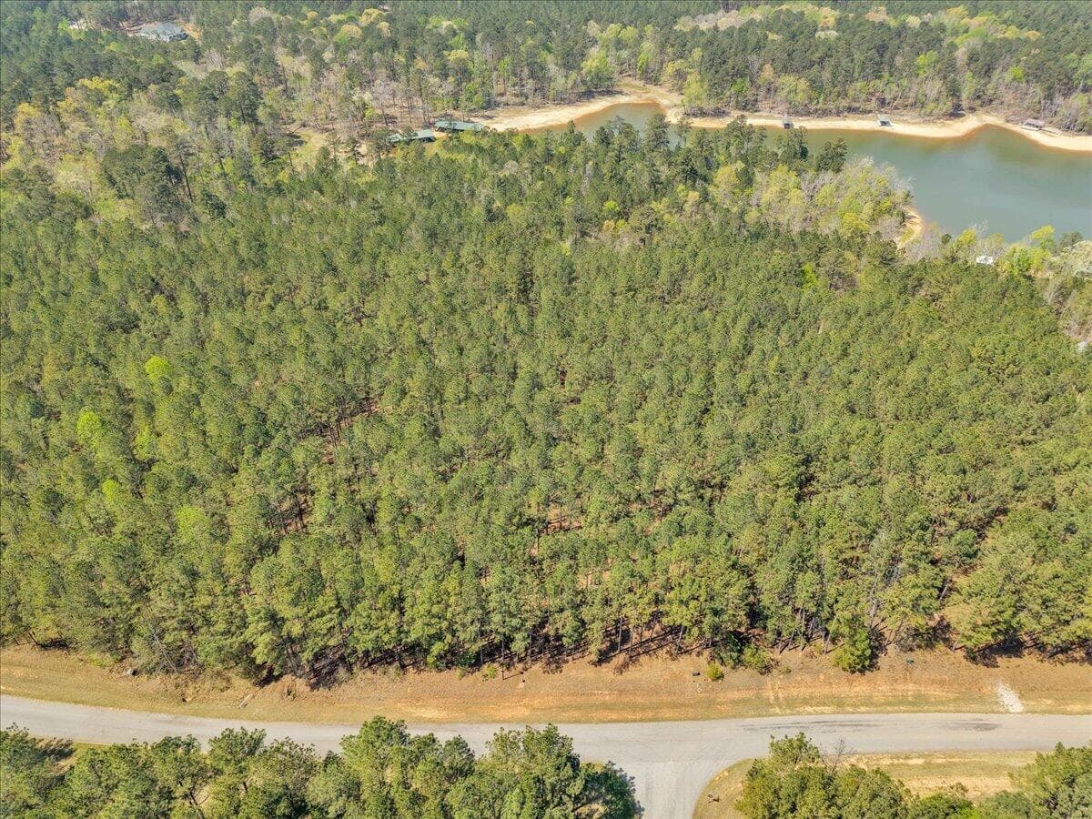 Residential Lot at Lot 65 65 Maiden Cane Way, Lincolnton, GA 30817, photo 31 of 59