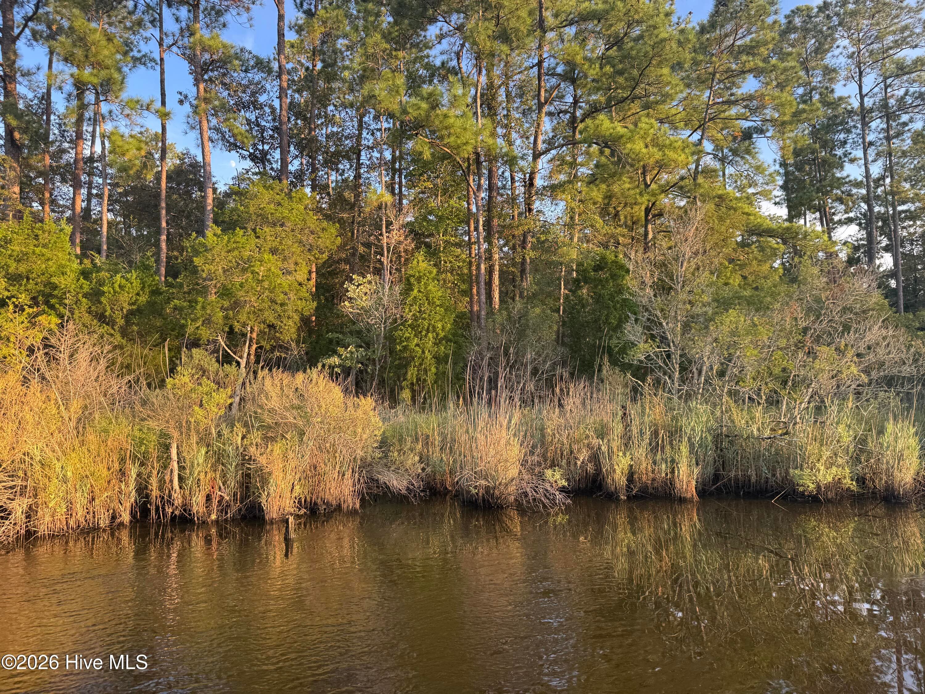 Undeveloped at 0 Nc 304, Bayboro, NC 28515, photo 16 of 21
