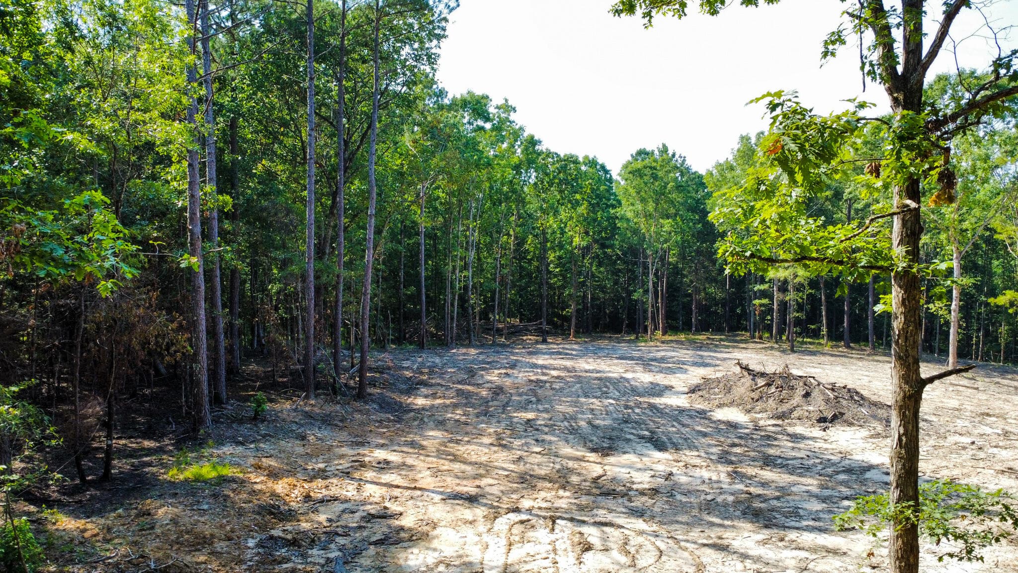 Undeveloped at 0 Backway Road, Lincolnton, GA 30817, photo 27 of 48