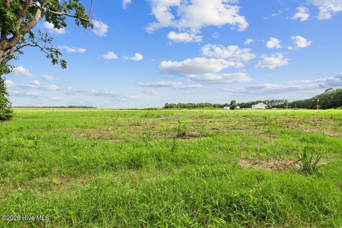 Residential Lot at Lot 2 Waller Road, Mount Olive, NC 28365, photo 8 of 9