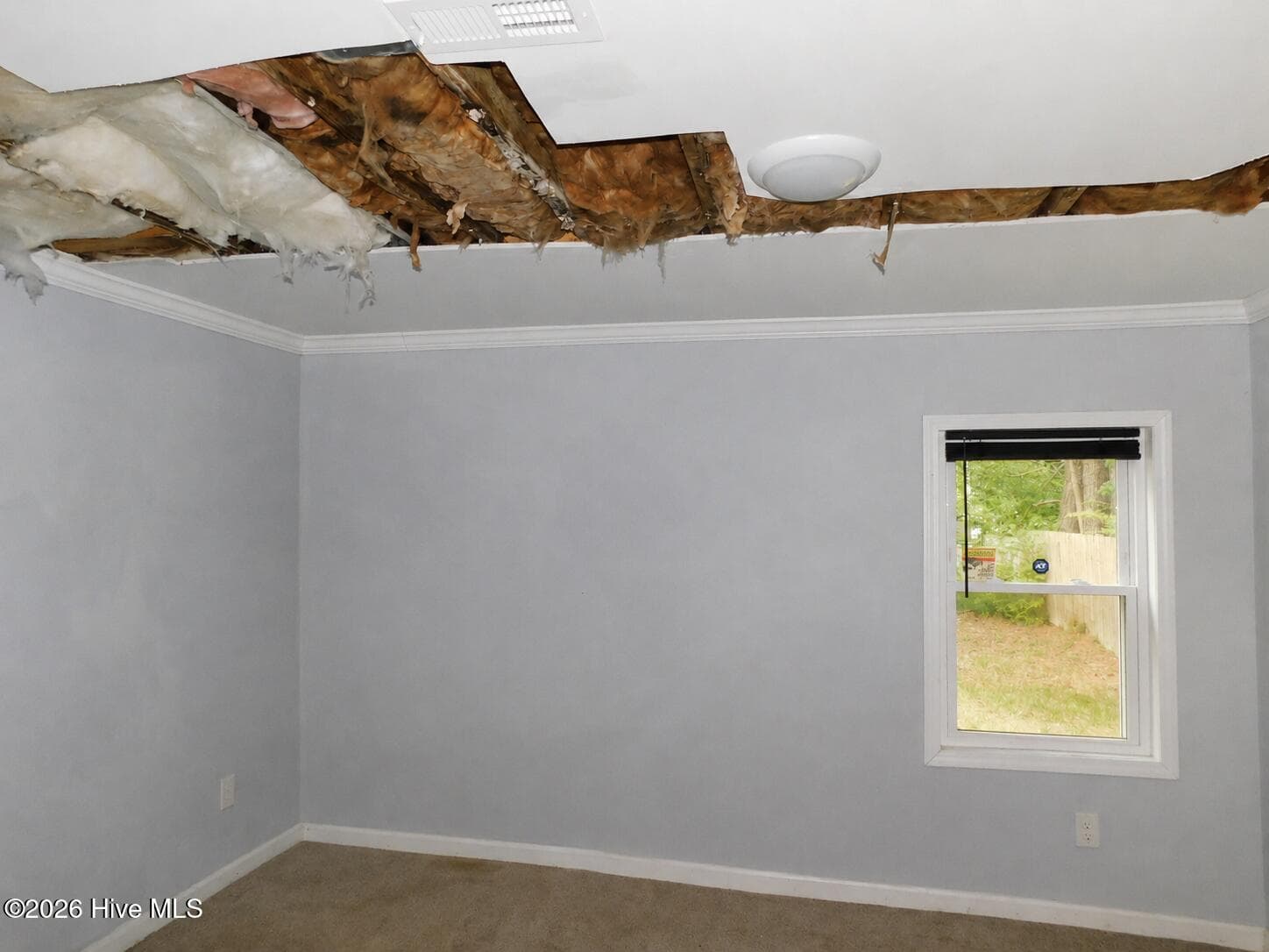 602 Briggs Street S, Wilson 27893 - 602 Briggs Street S, Wilson, NC 27893