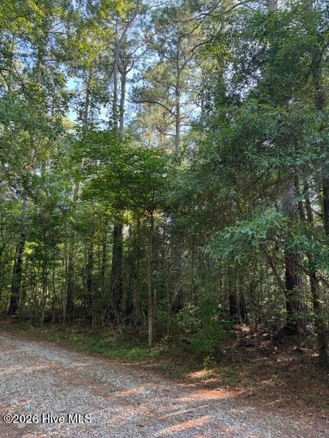 Residential Lot at 0 4 E Wilmington Street, Burgaw, NC 28425, photo 2 of 3