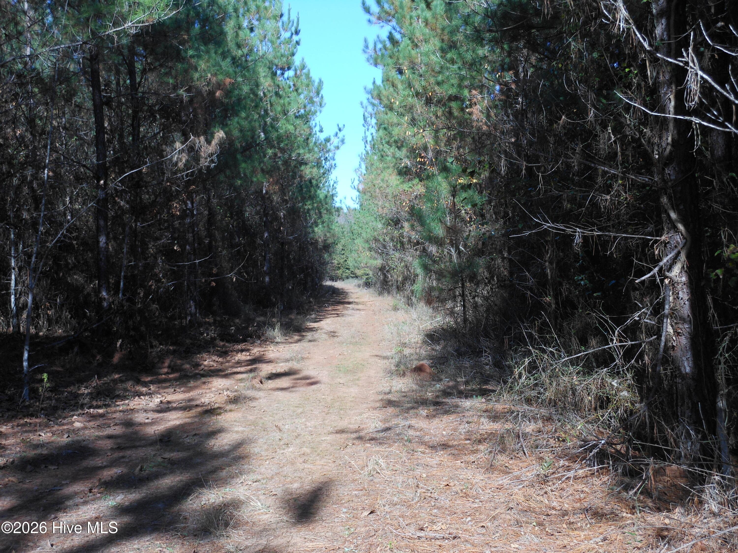 Undeveloped at 1447 Greiner Circle, Hephzibah, GA 30815, photo 10 of 10